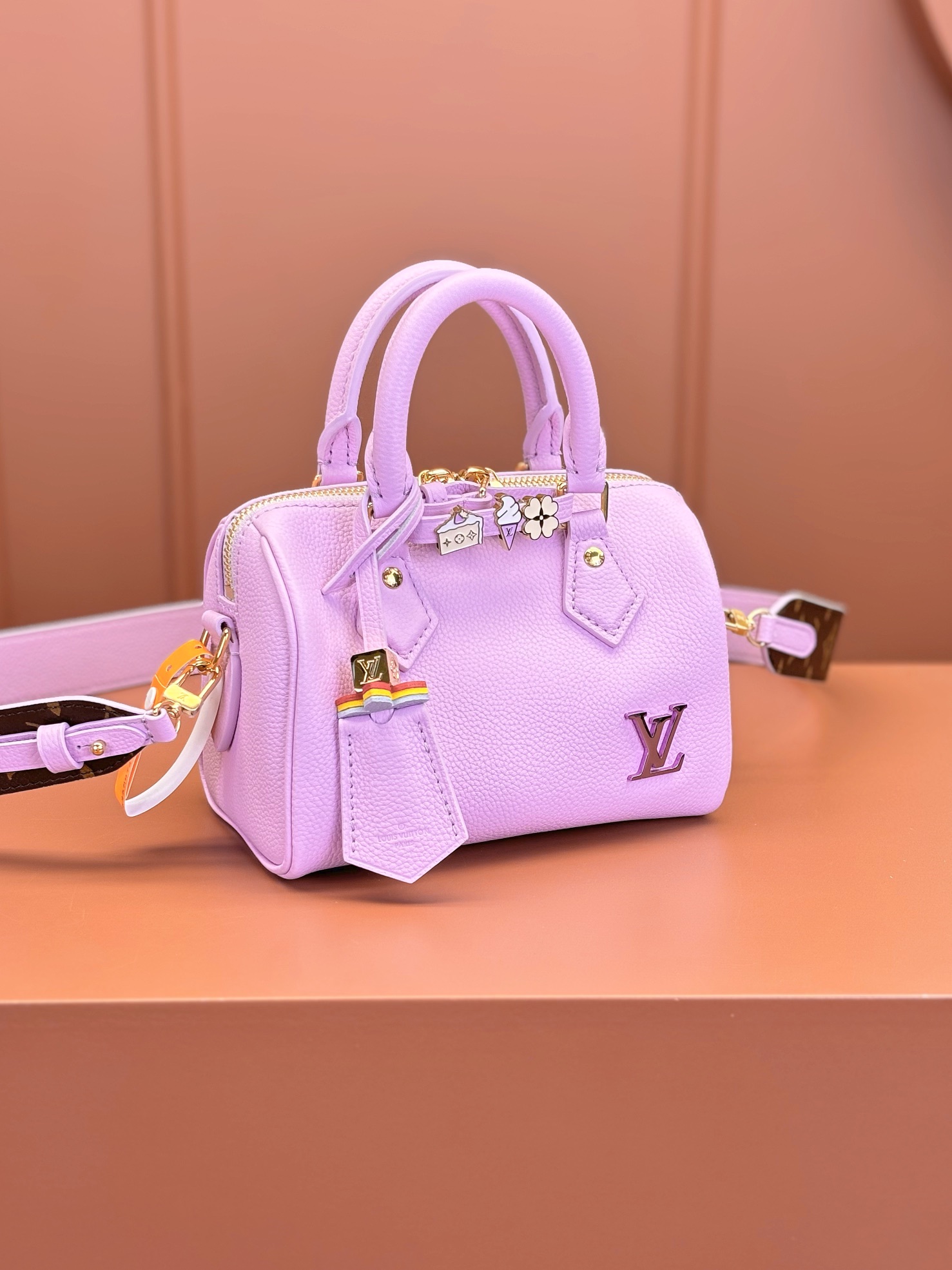 LV Bag