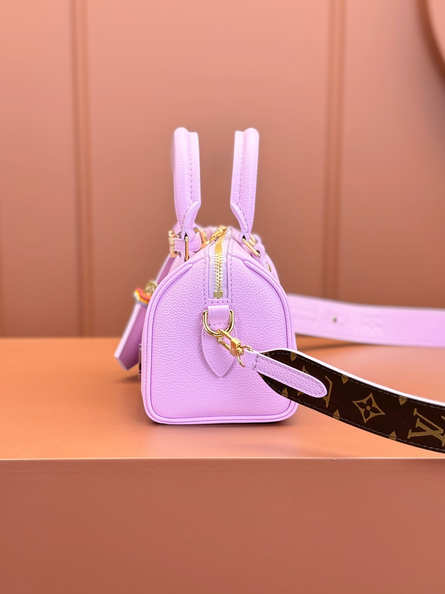 LV Bag