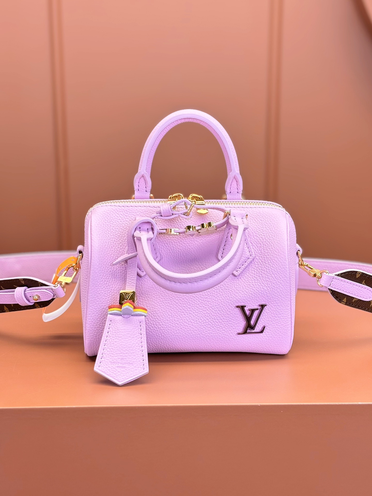 LV Bag