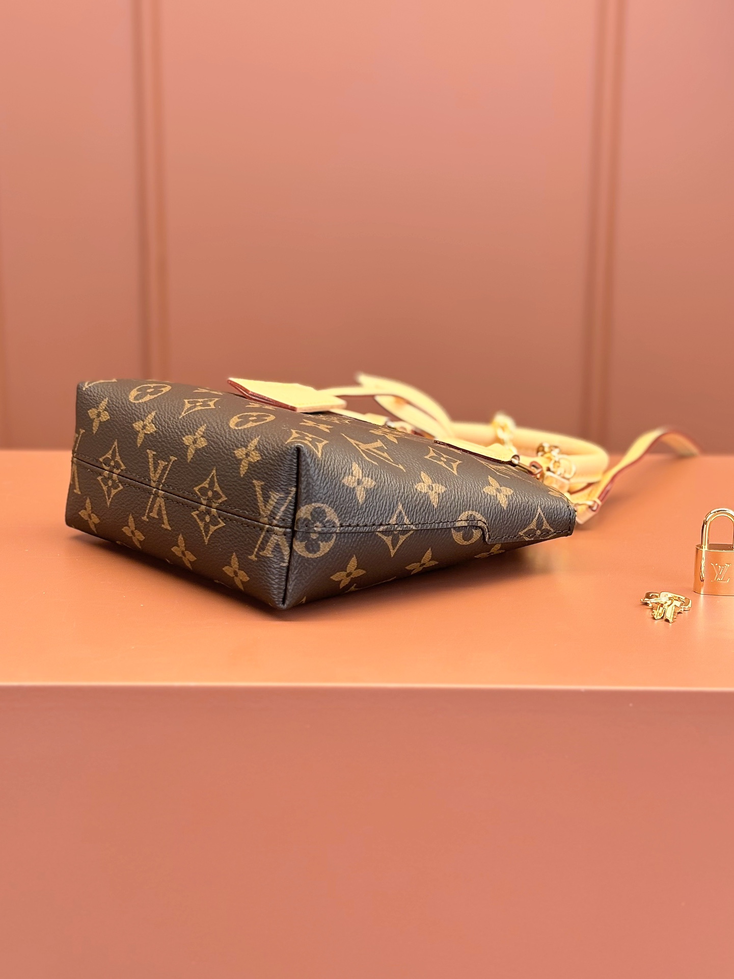 LV Bag