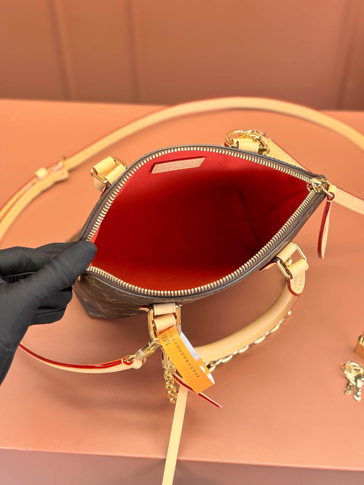 LV Bag