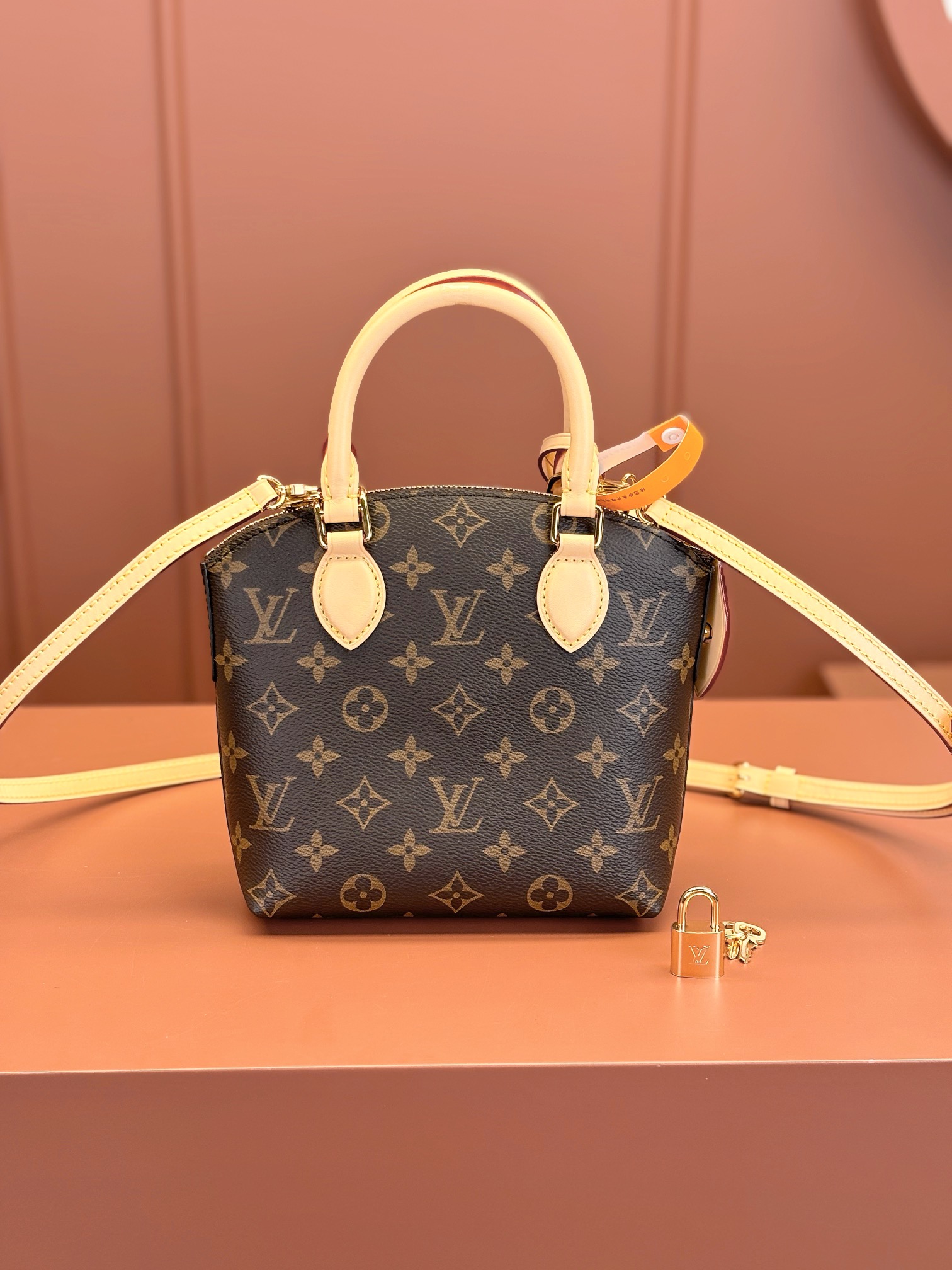 LV Bag