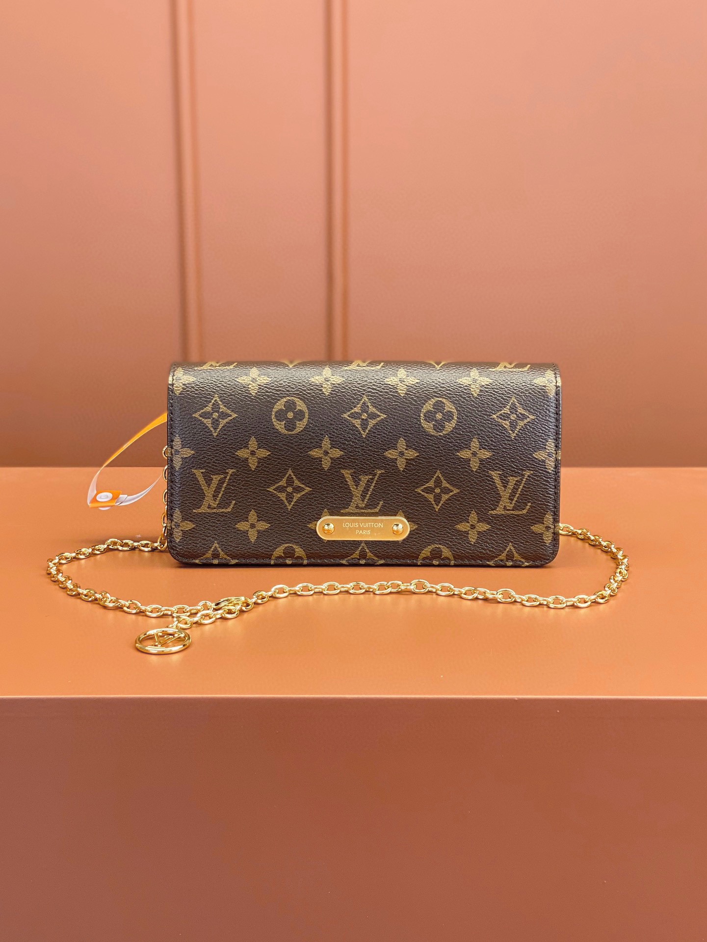 LV Bag