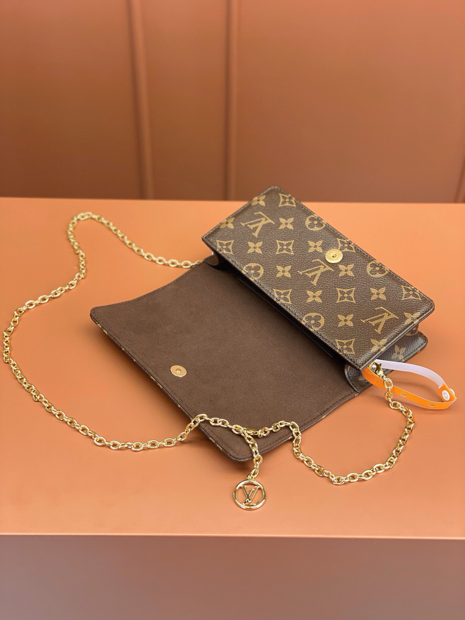 LV Bag