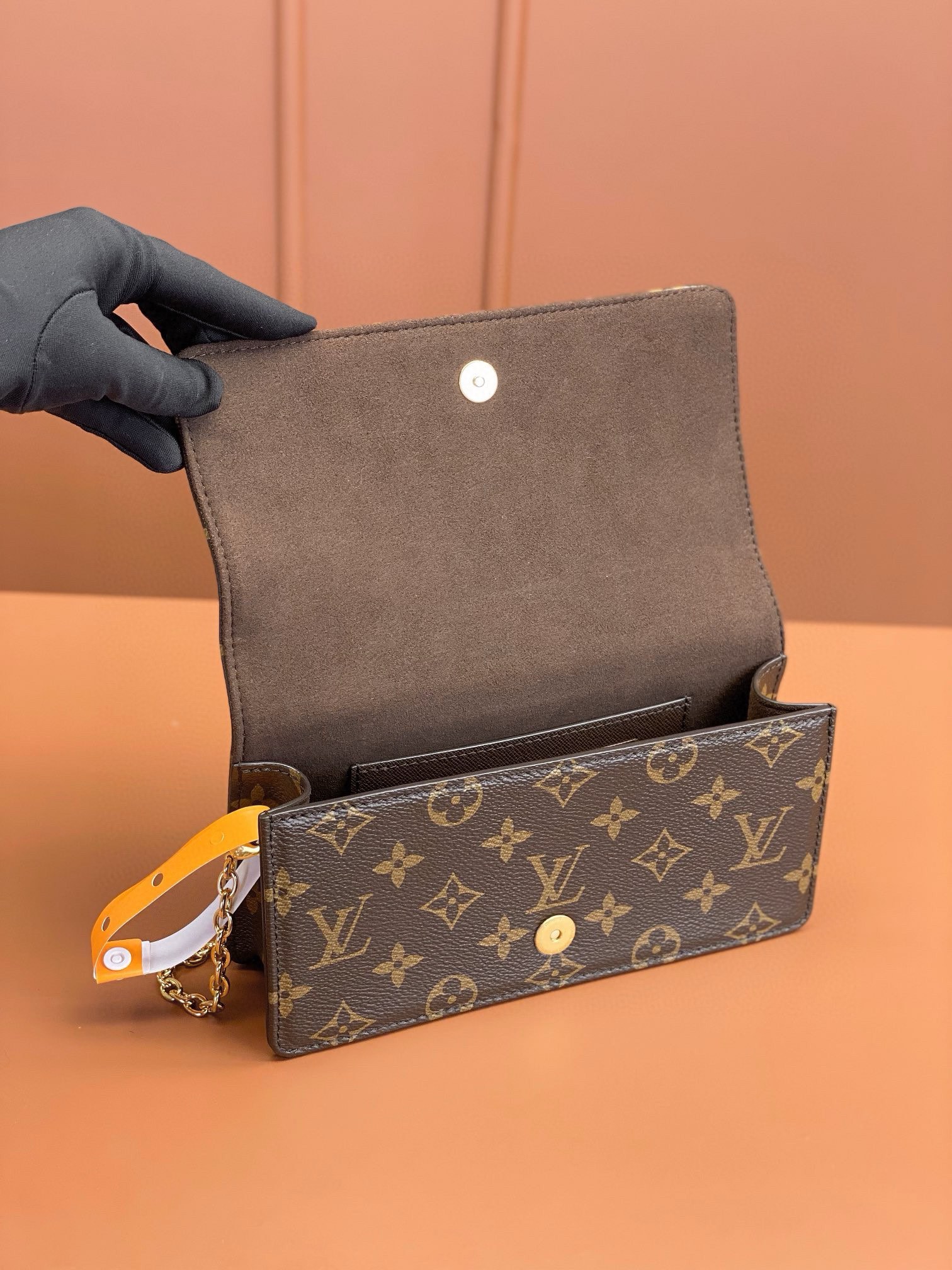 LV Bag