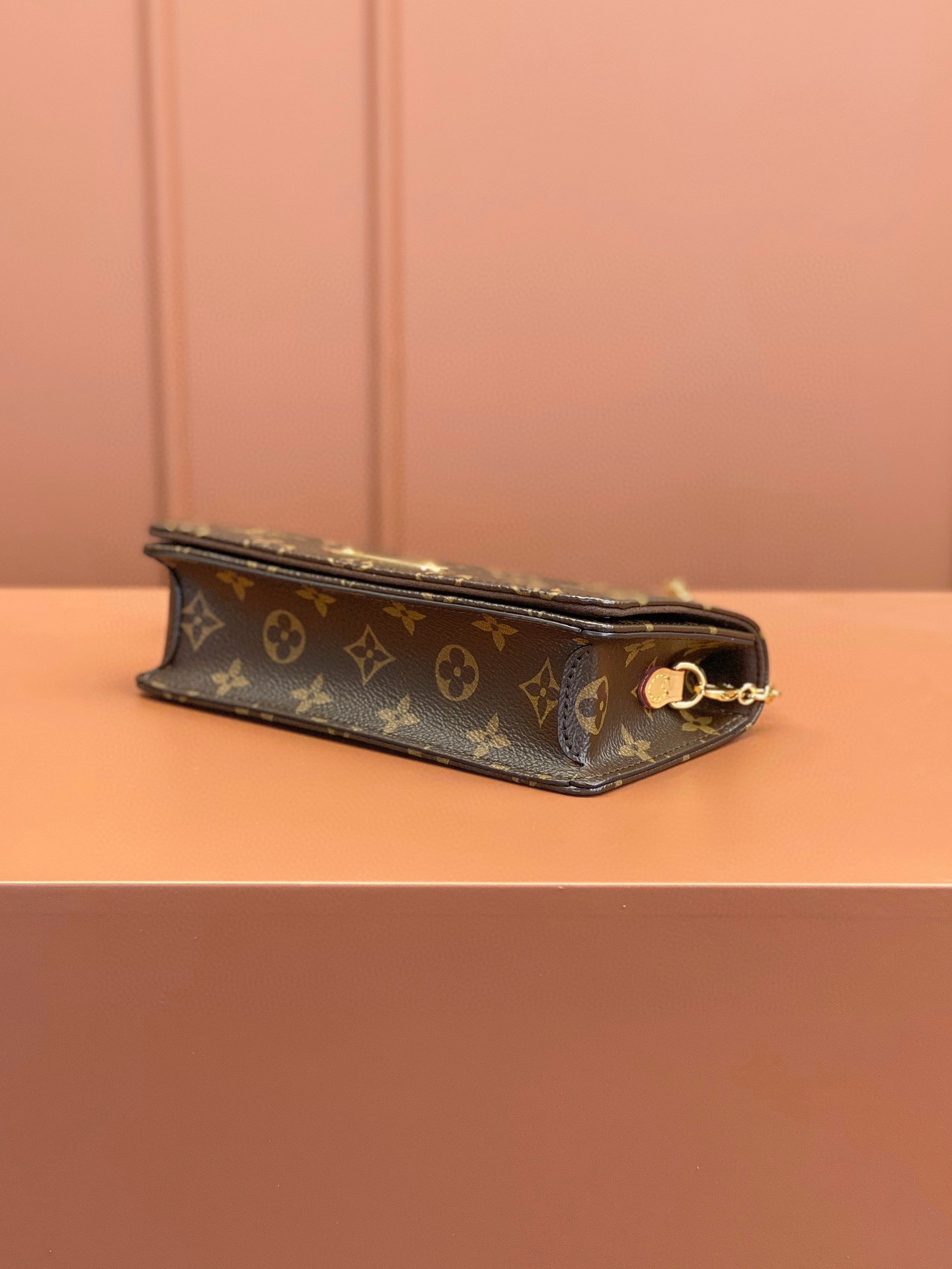 LV Bag