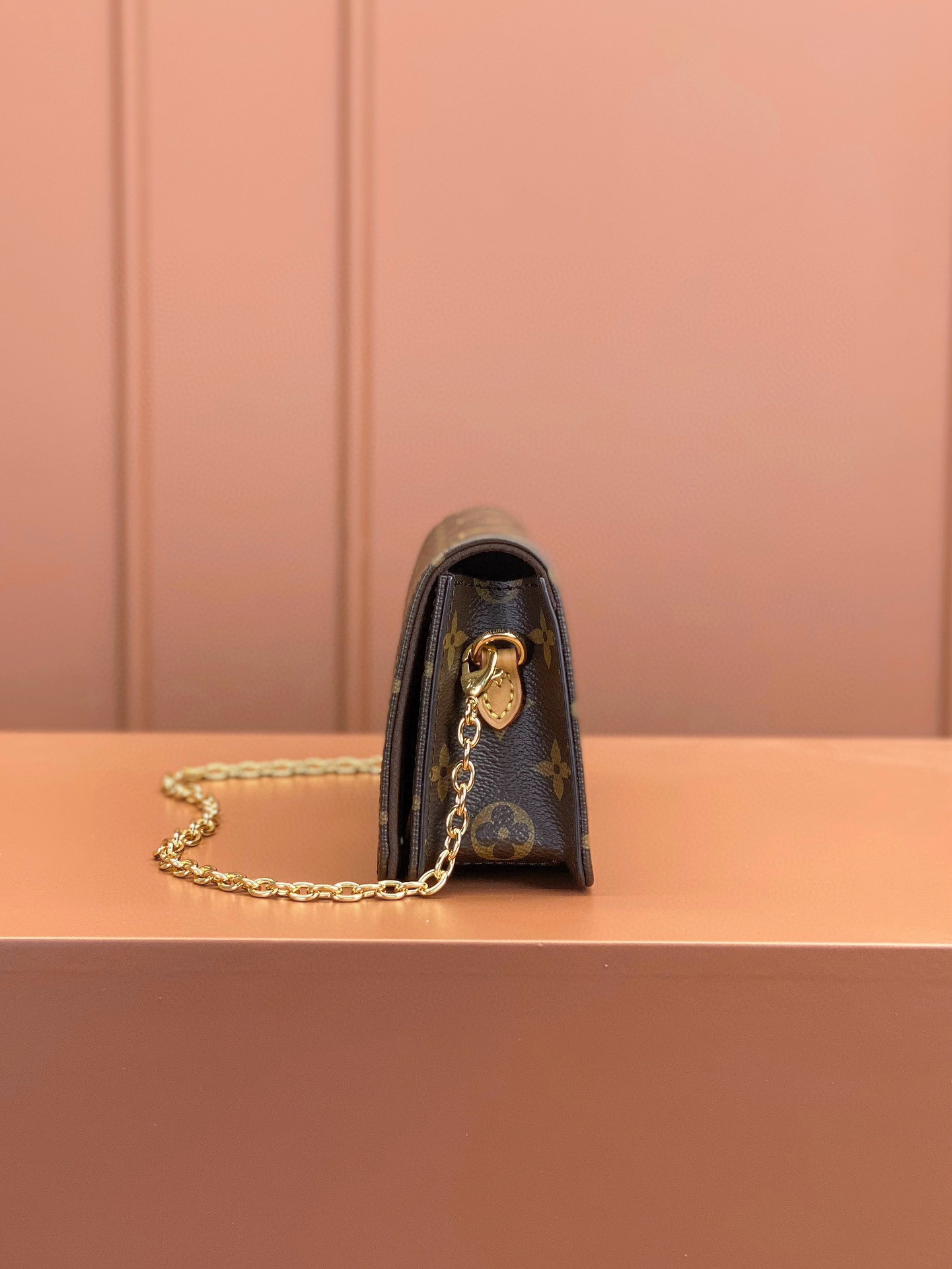 LV Bag