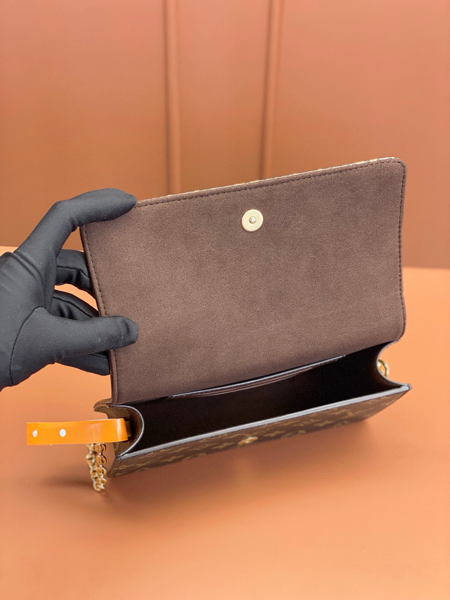 LV Bag