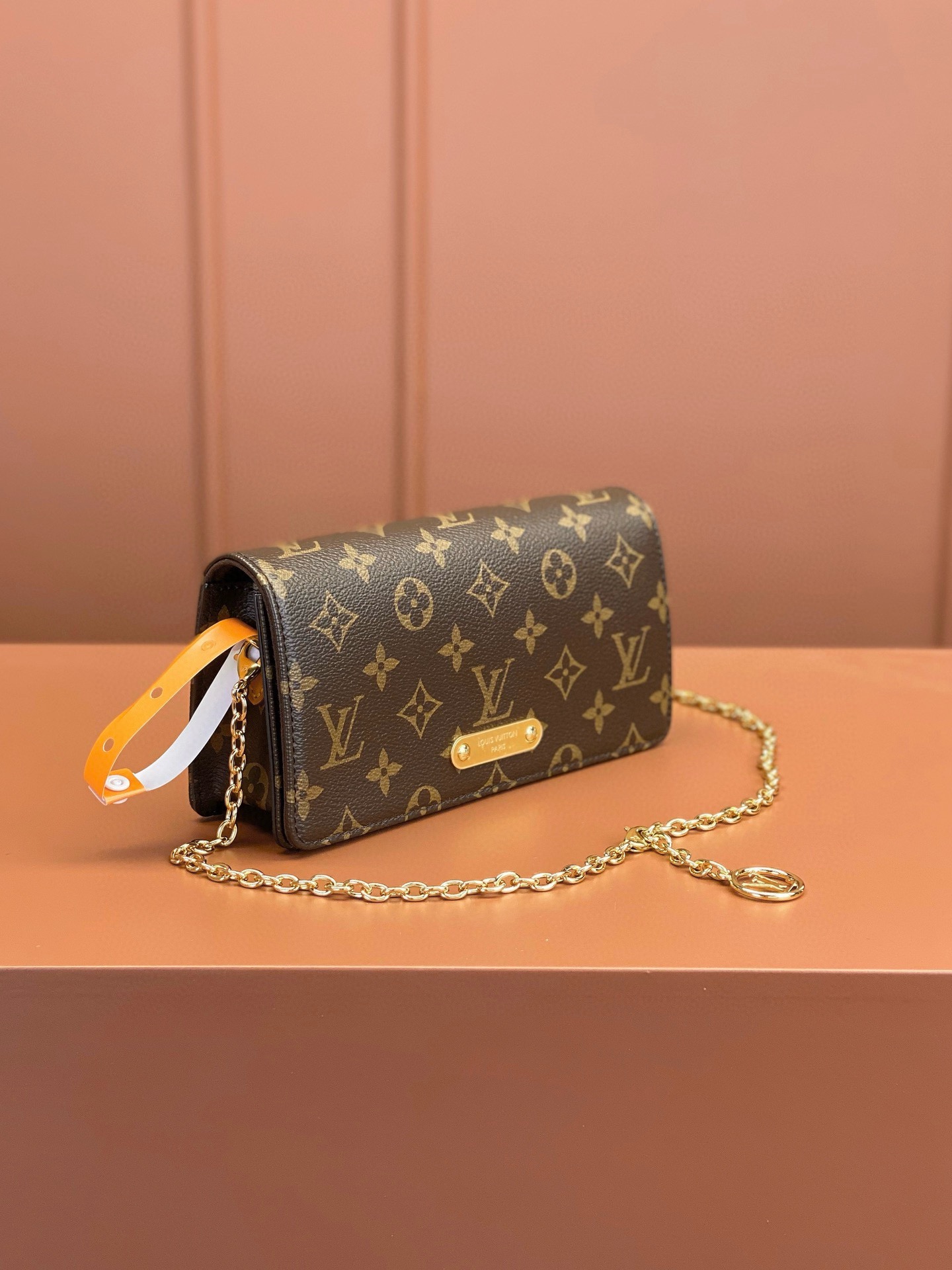 LV Bag