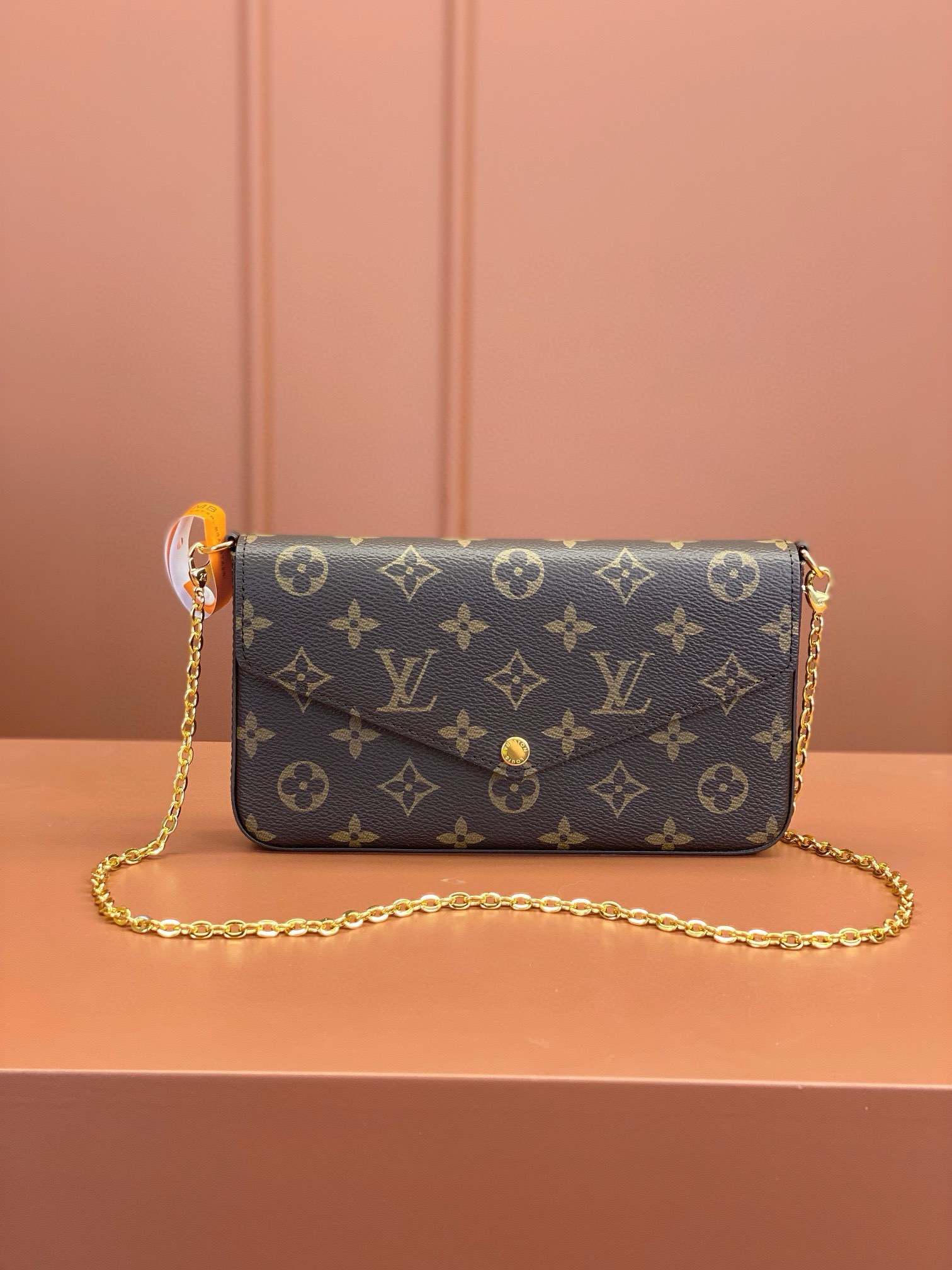 LV Bag