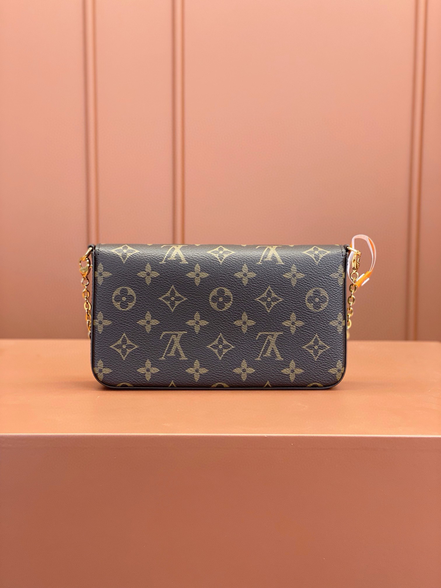 LV Bag
