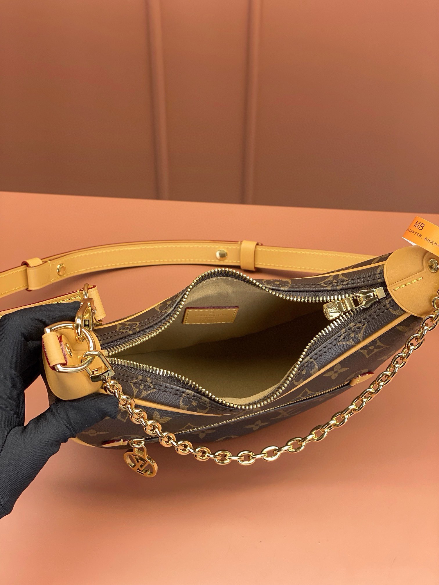 LV Bag