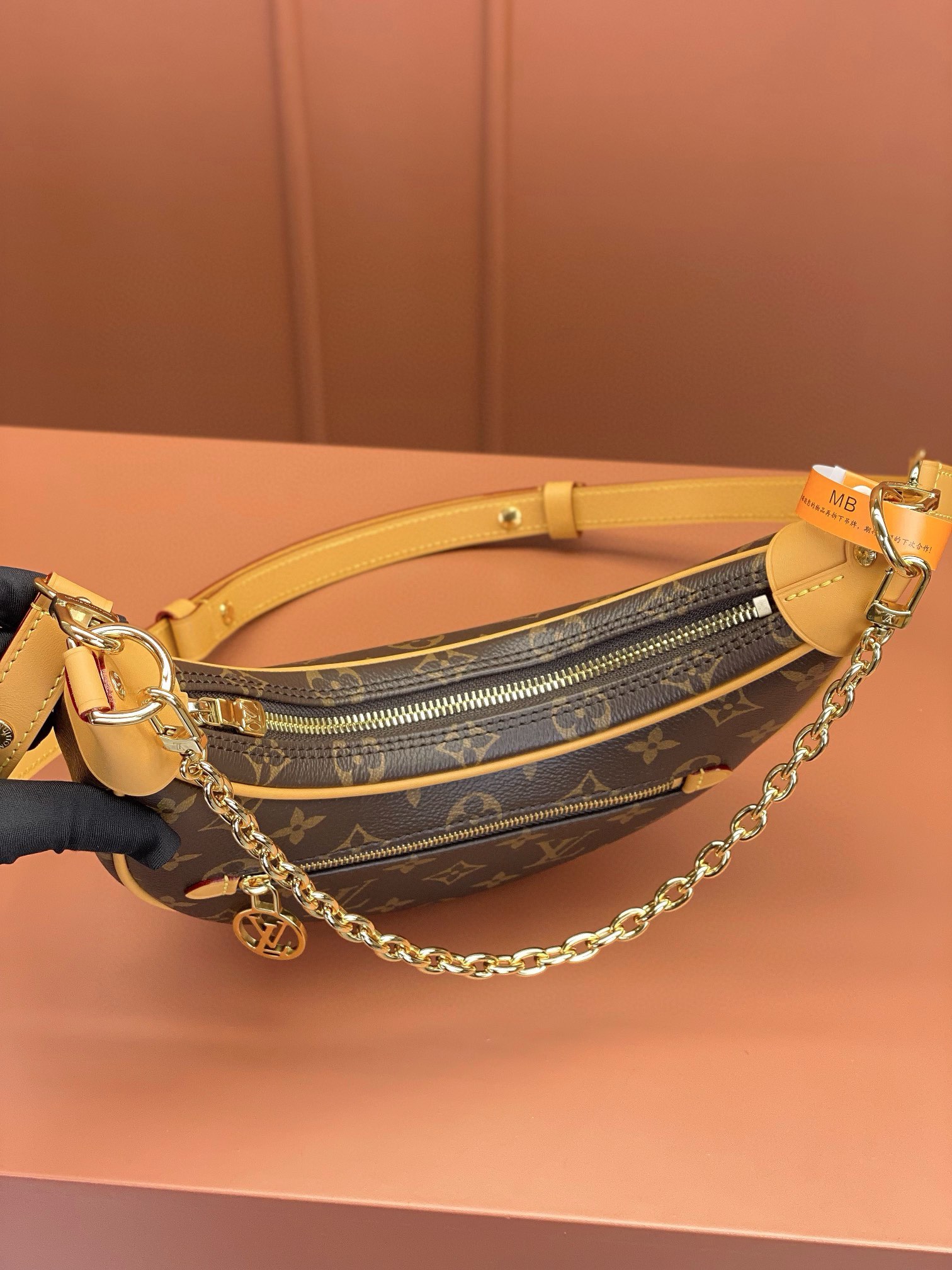 LV Bag