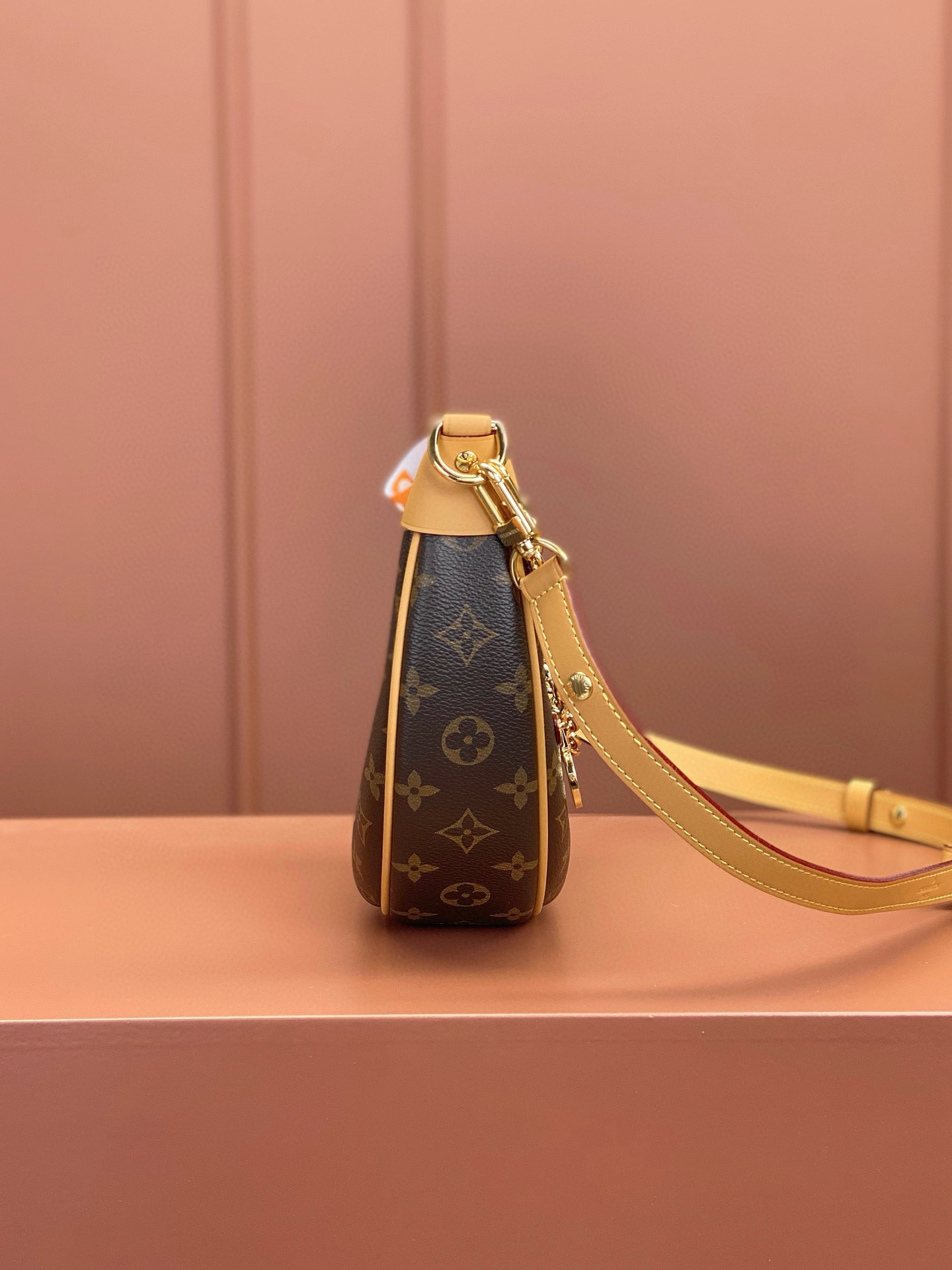 LV Bag