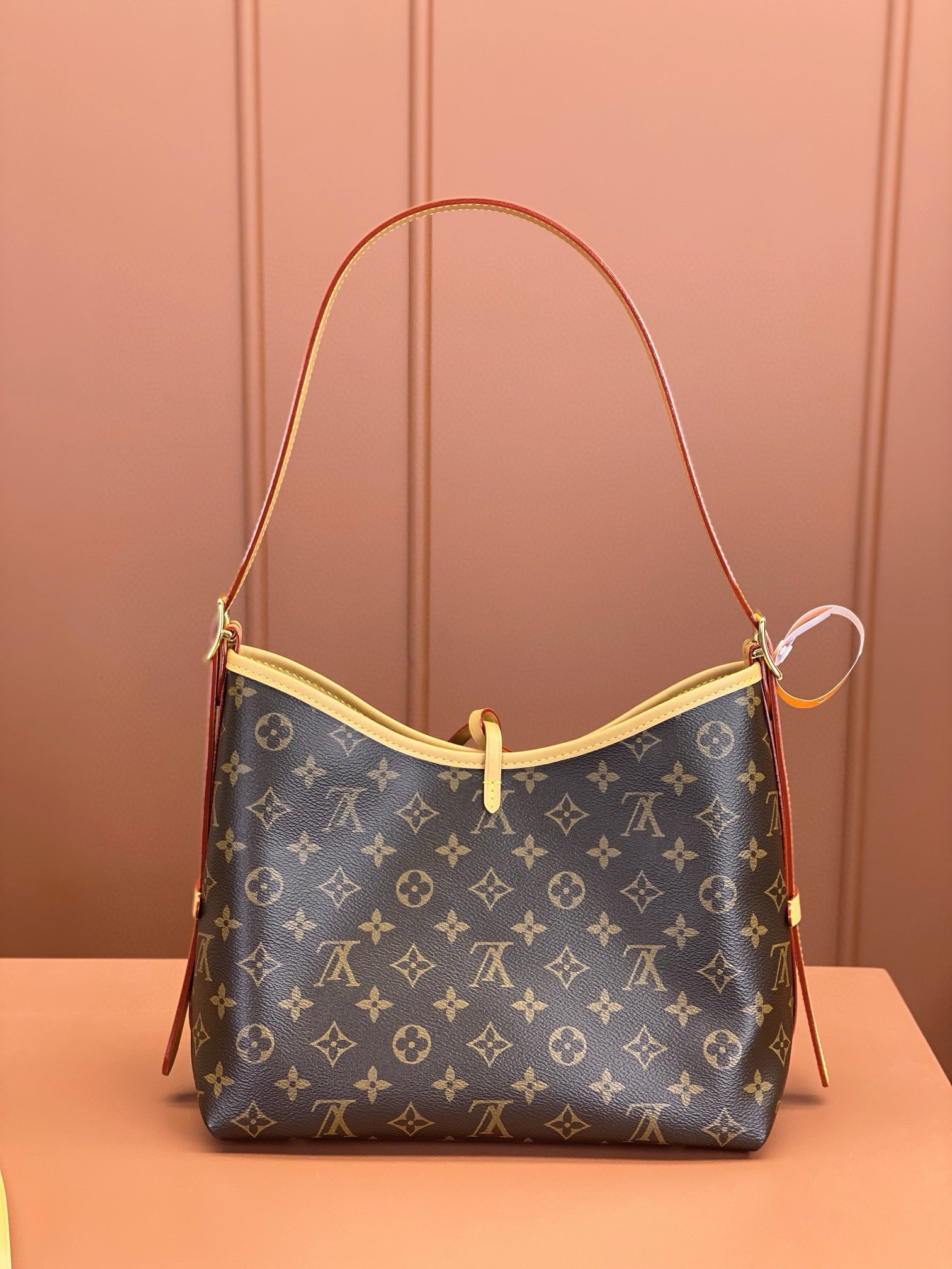 LV Bag