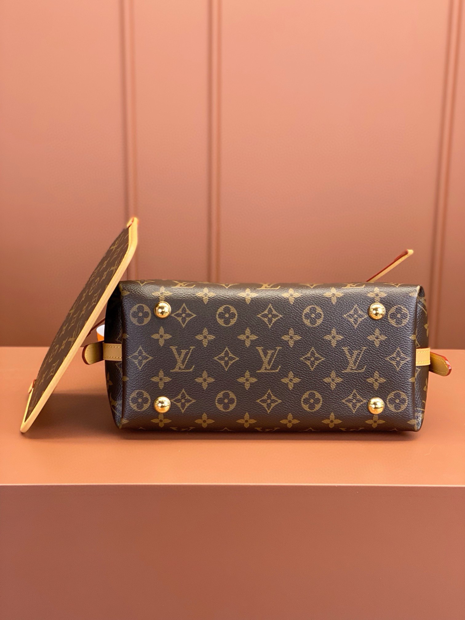 LV Bag