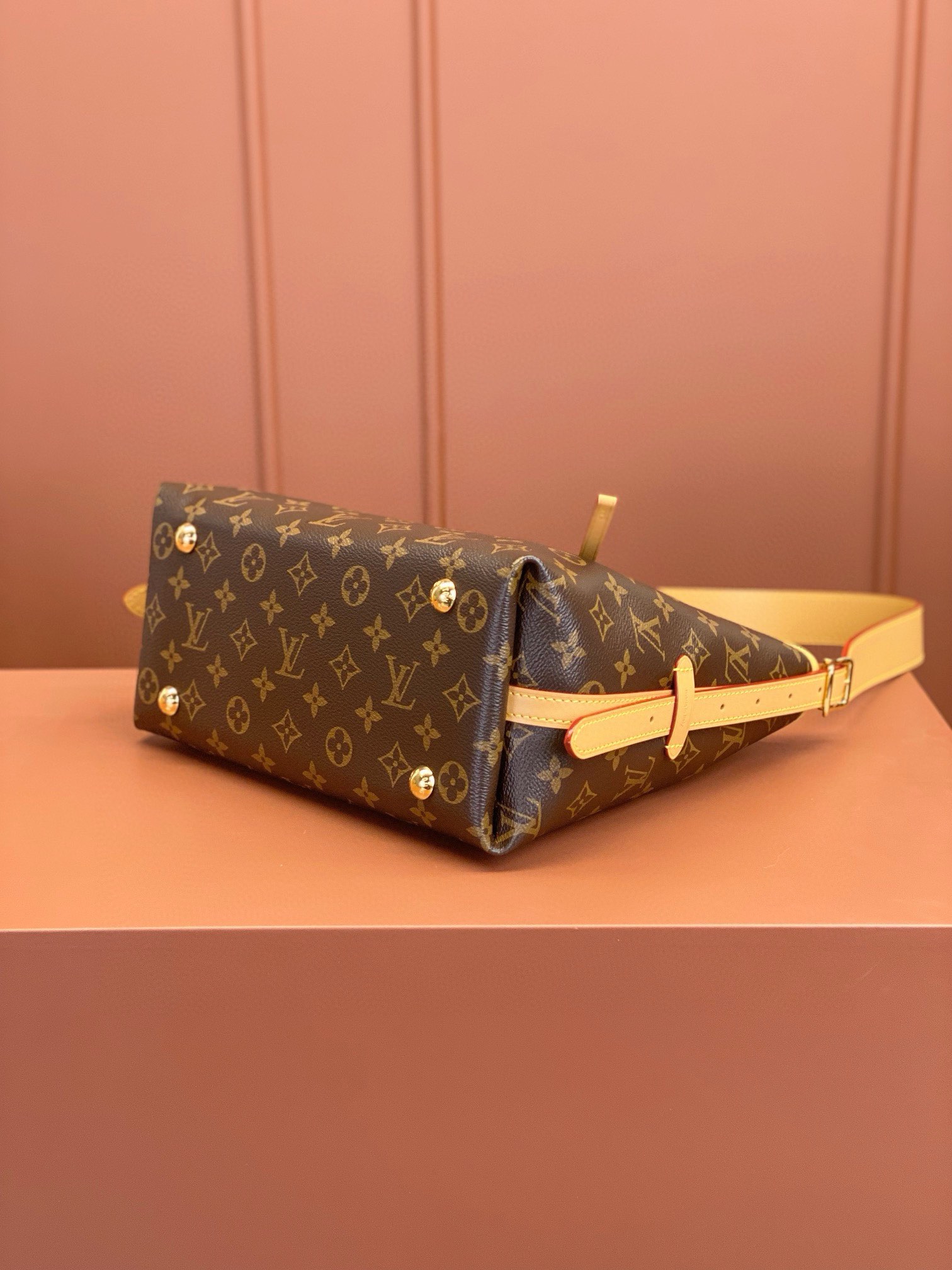 LV Bag