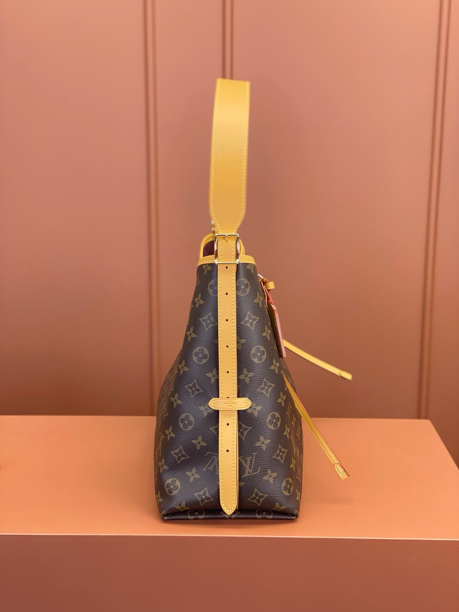 LV Bag