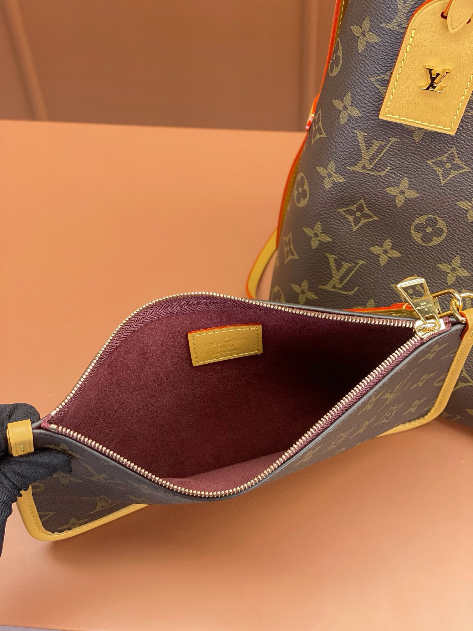 LV Bag