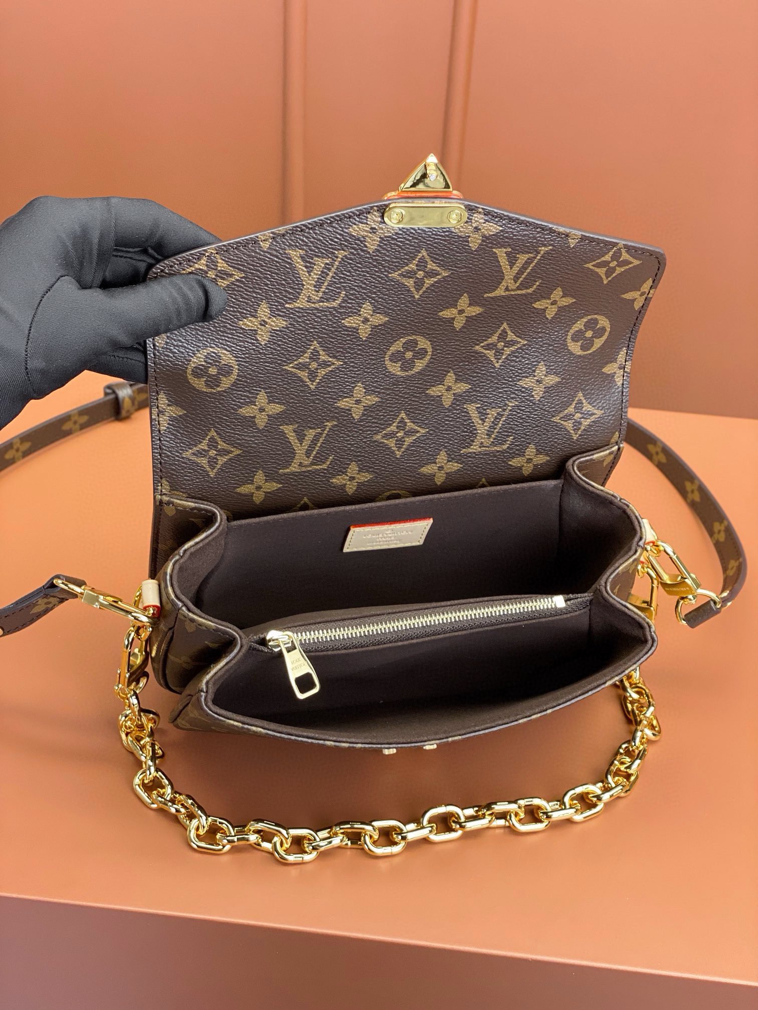 LV Bag