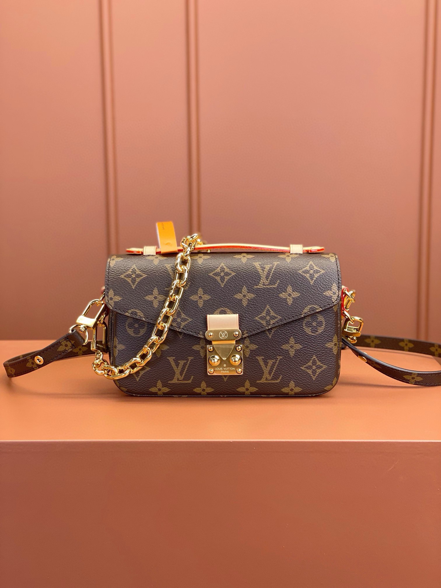 LV Bag