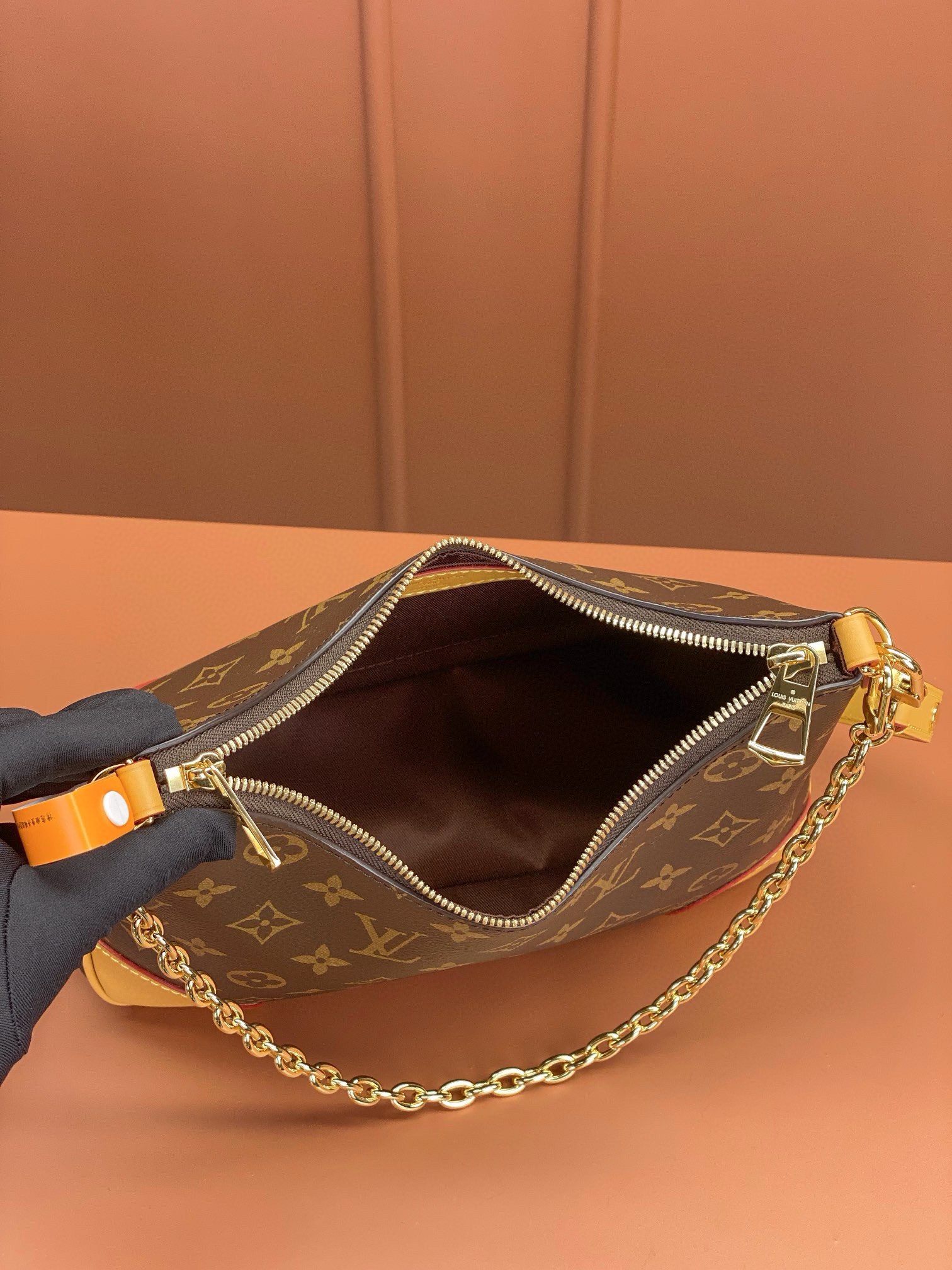 LV Bag