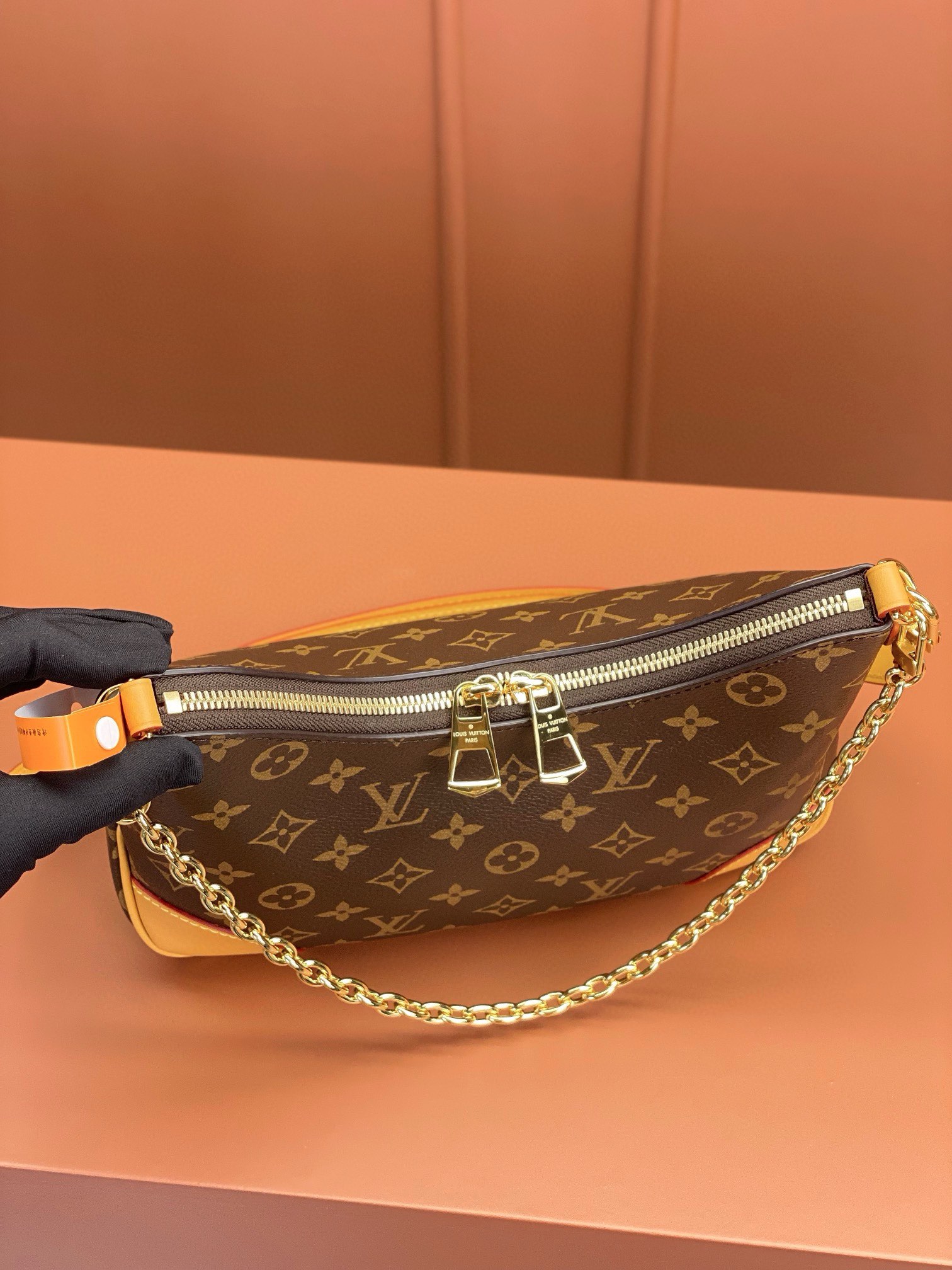 LV Bag