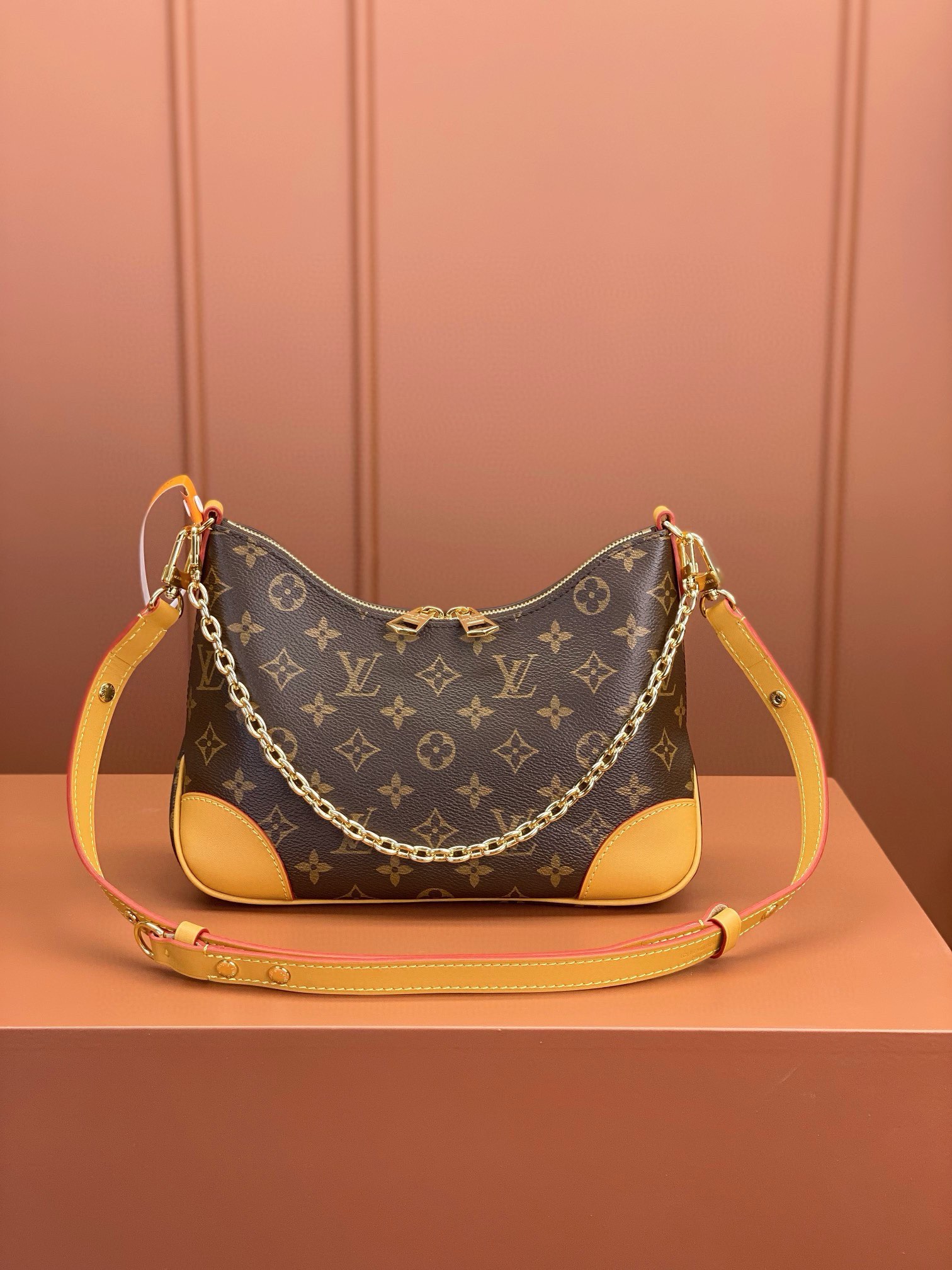 LV Bag