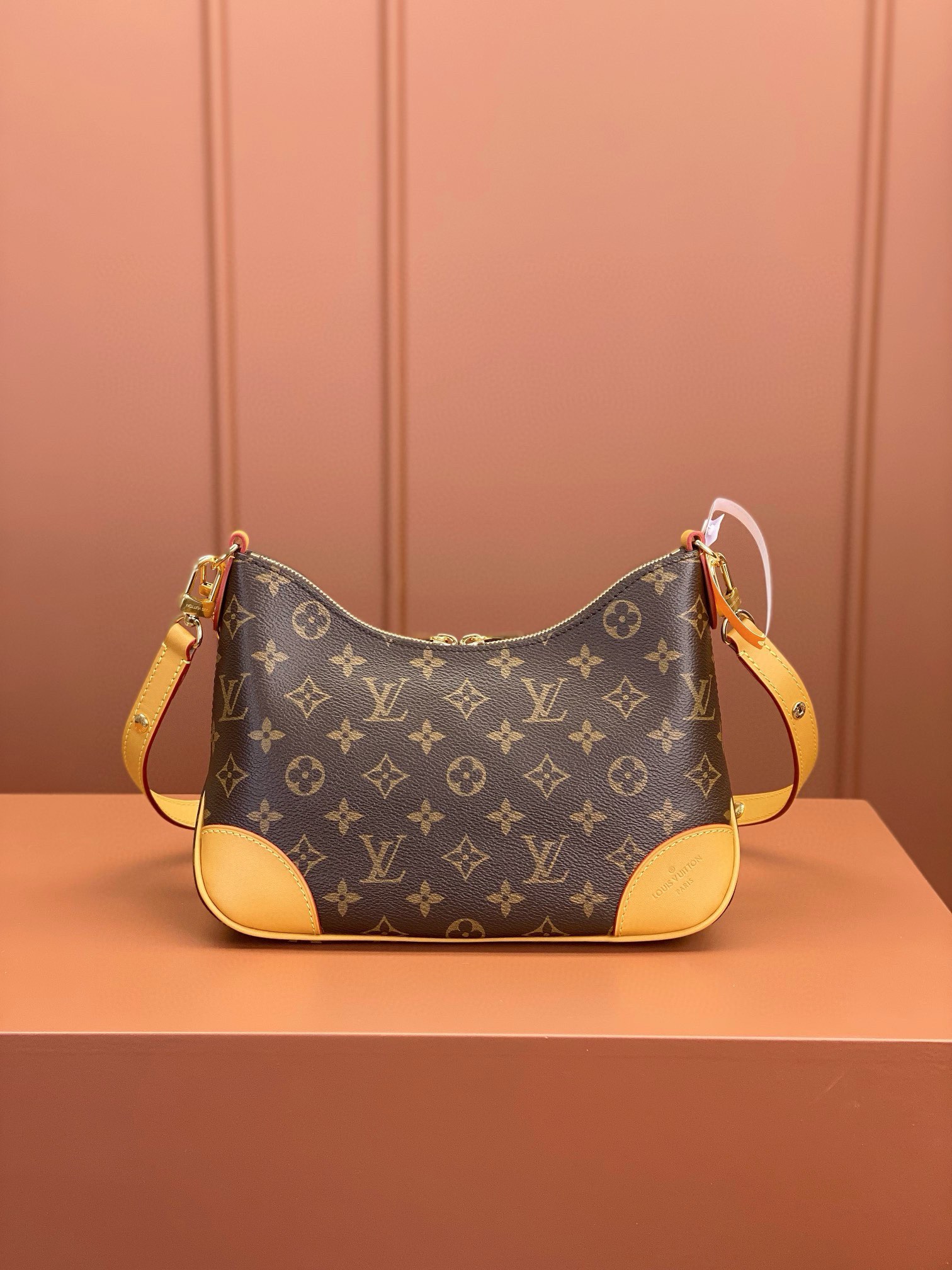 LV Bag