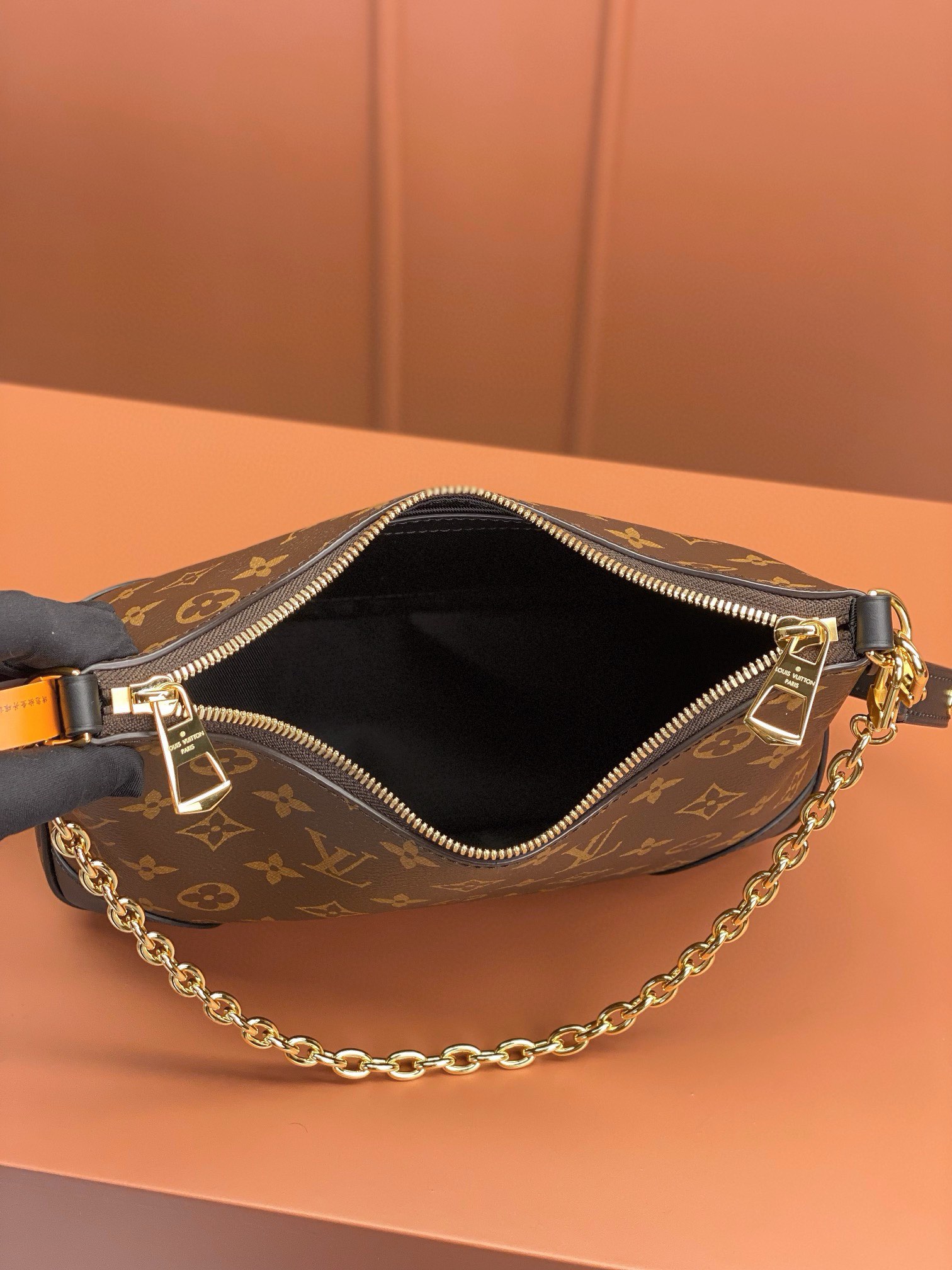 LV Bag