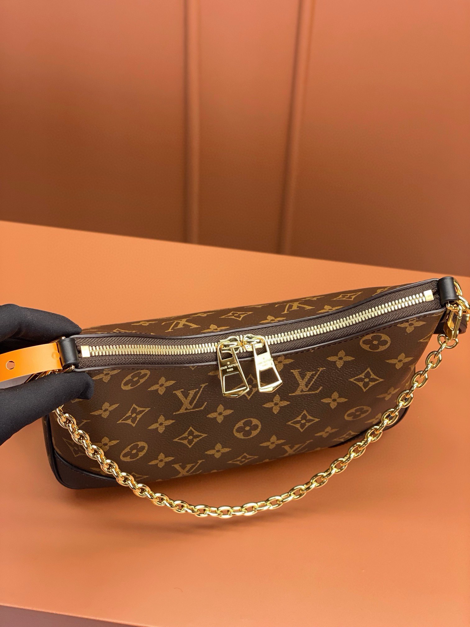 LV Bag