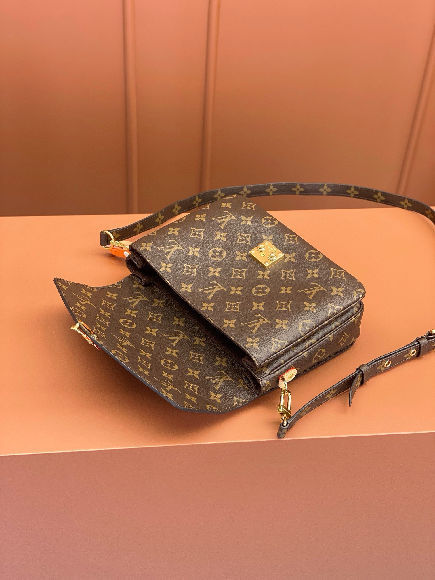 LV Bag