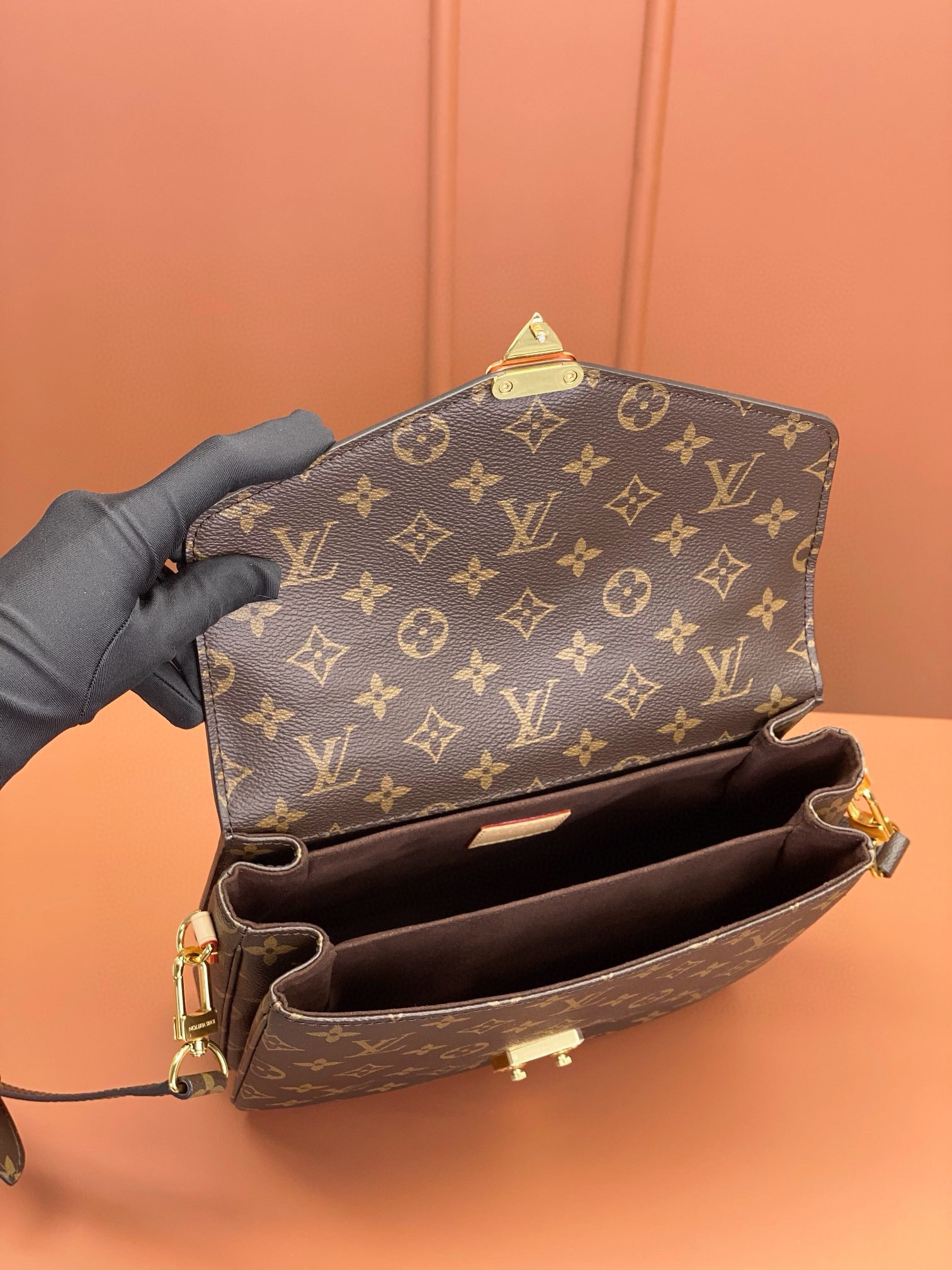 LV Bag