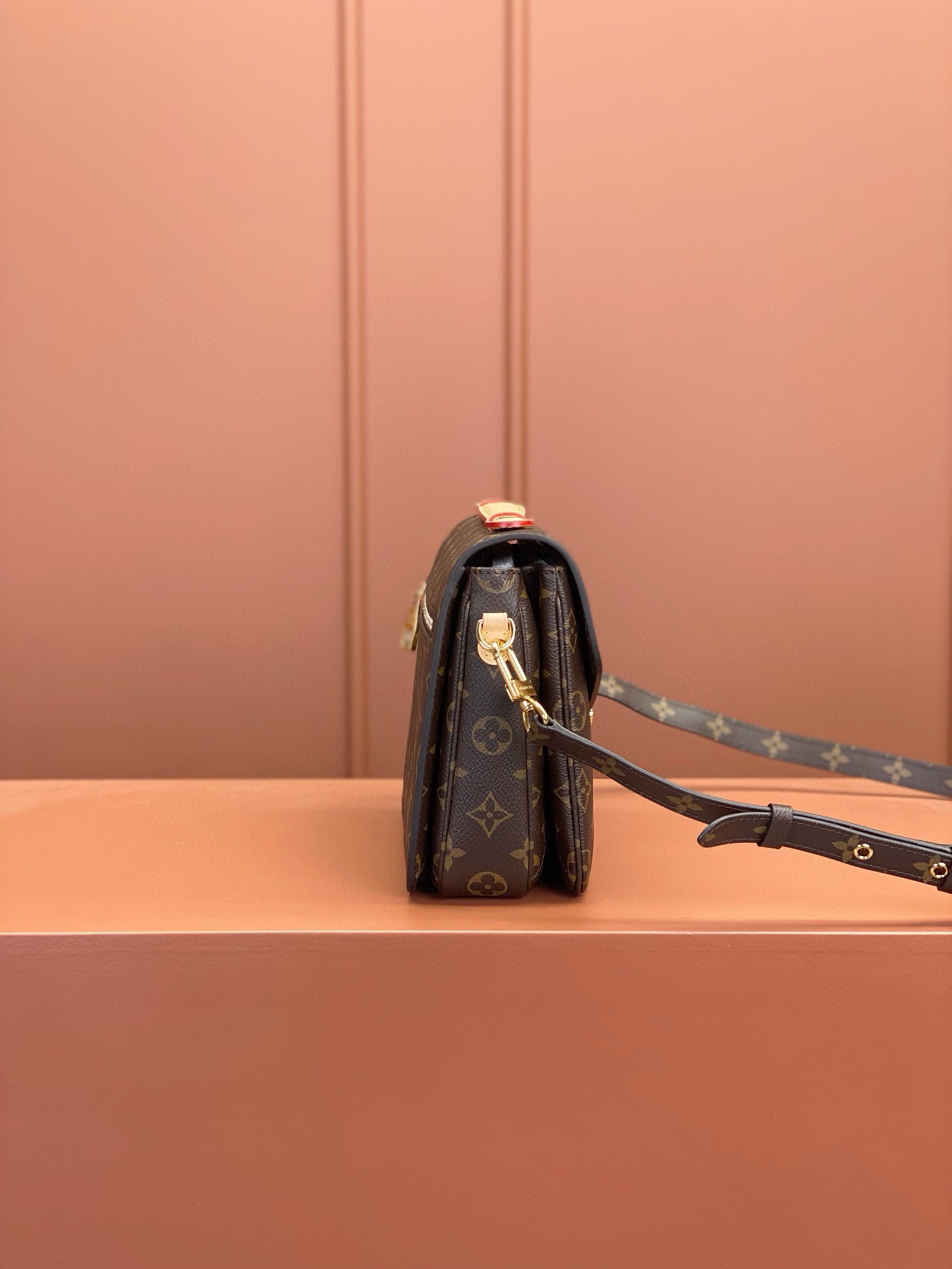 LV Bag