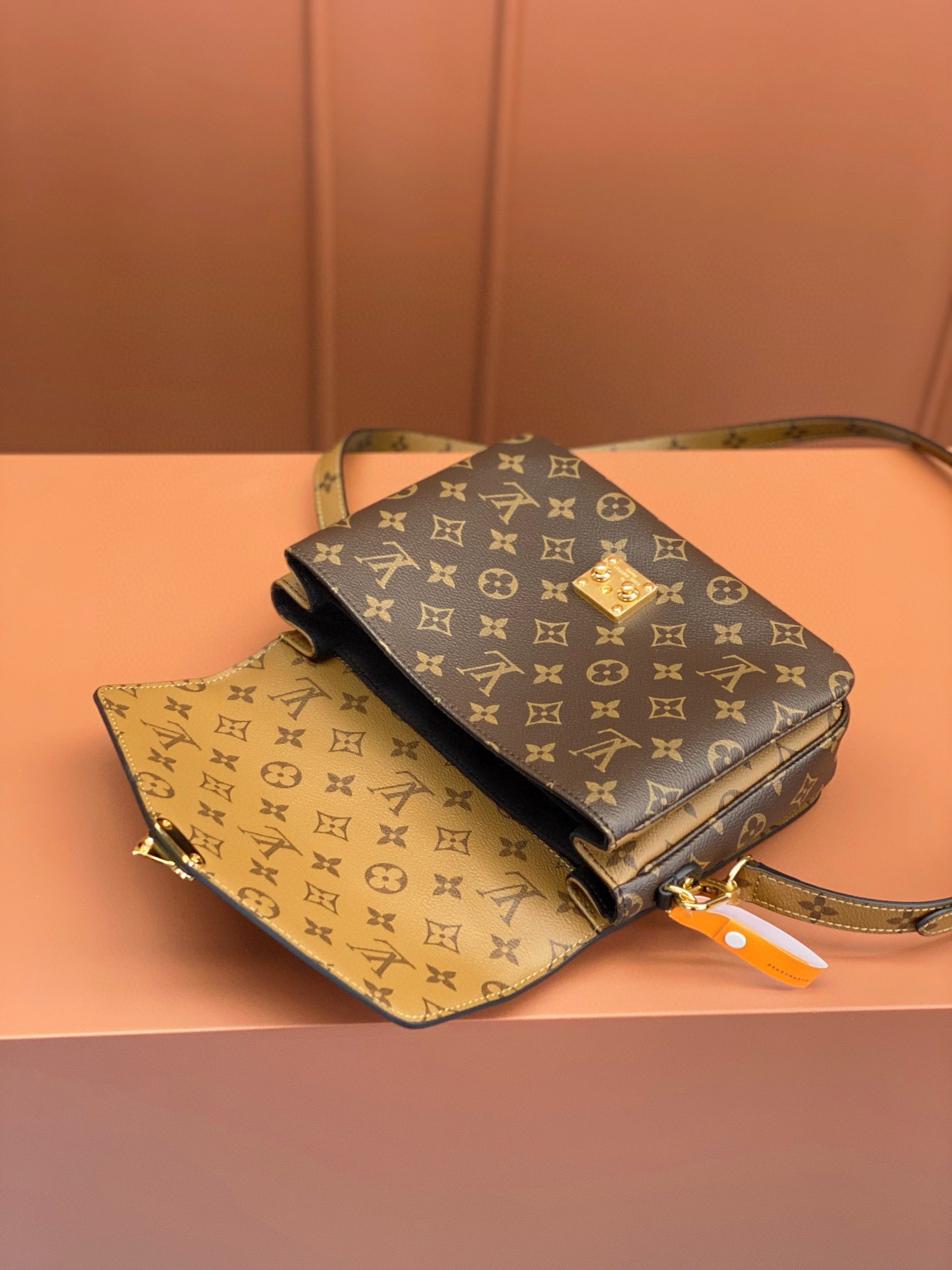 LV Bag