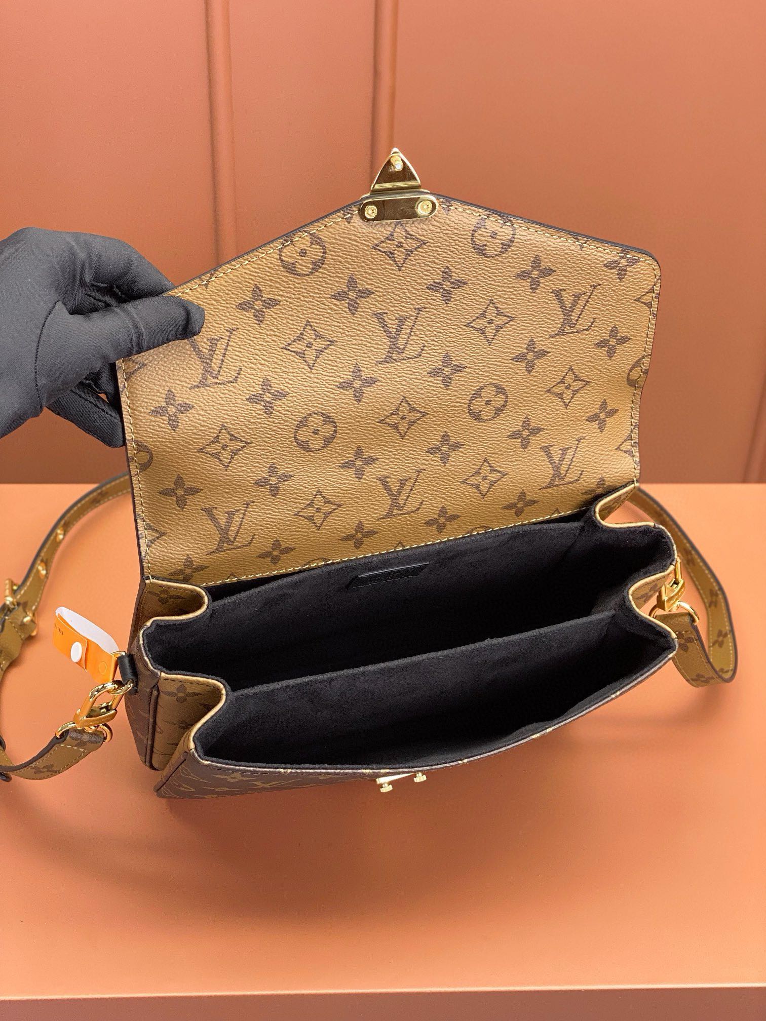 LV Bag