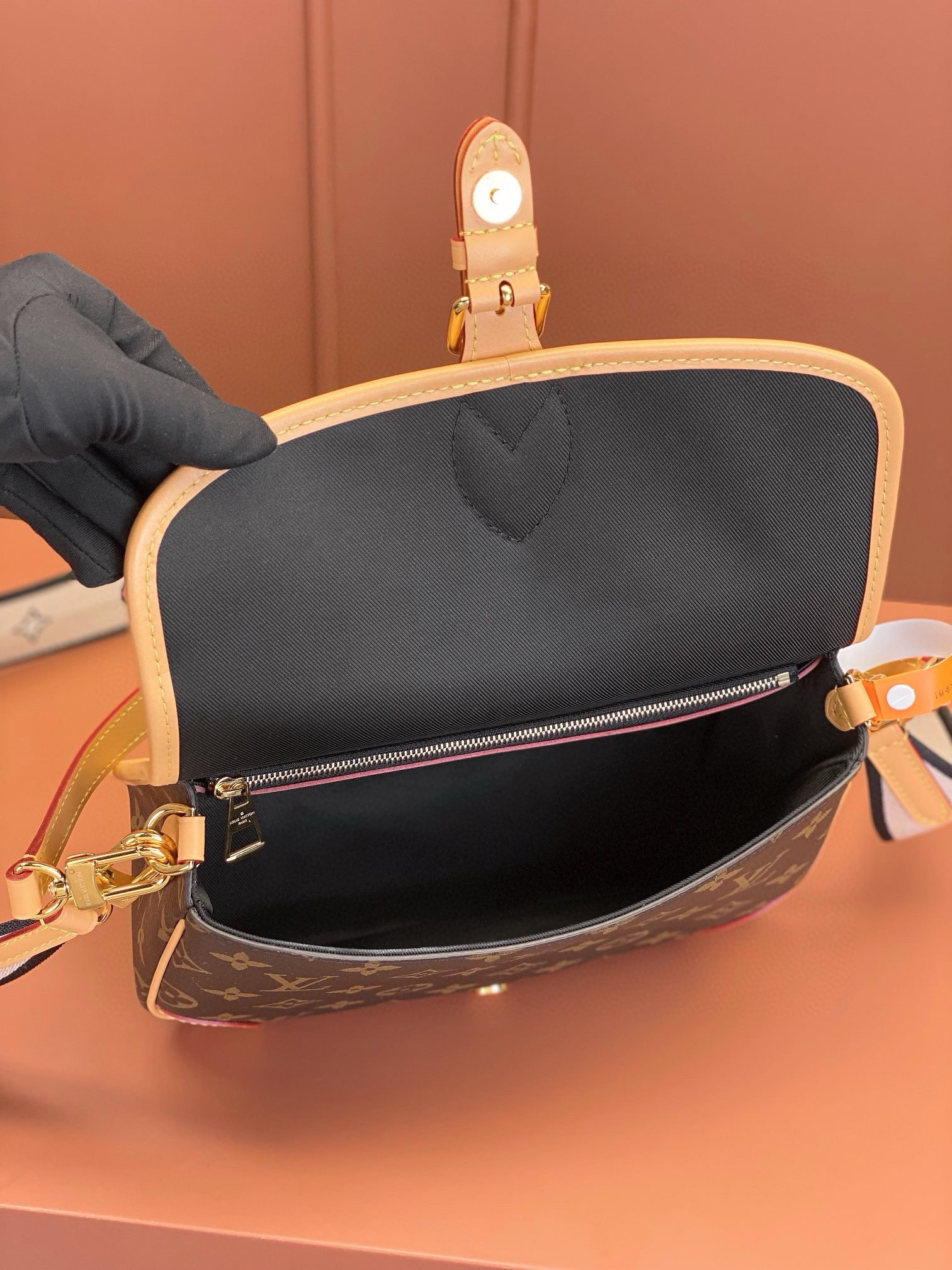 LV Bag