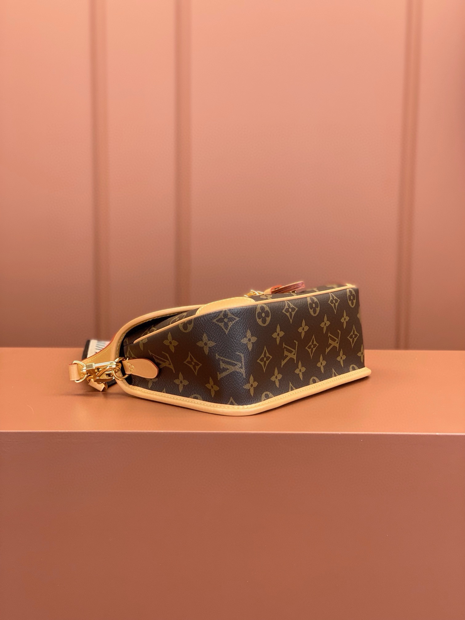 LV Bag