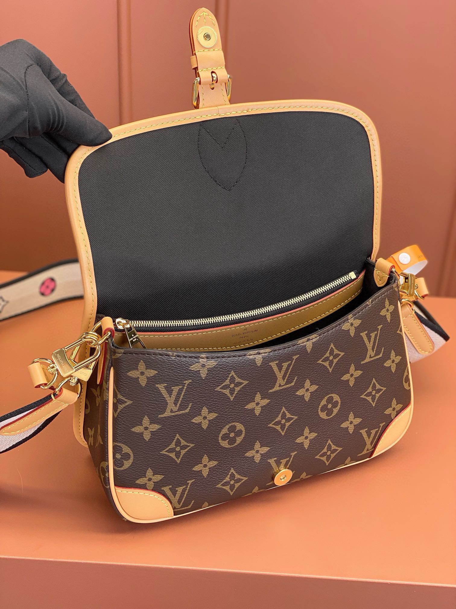 LV Bag