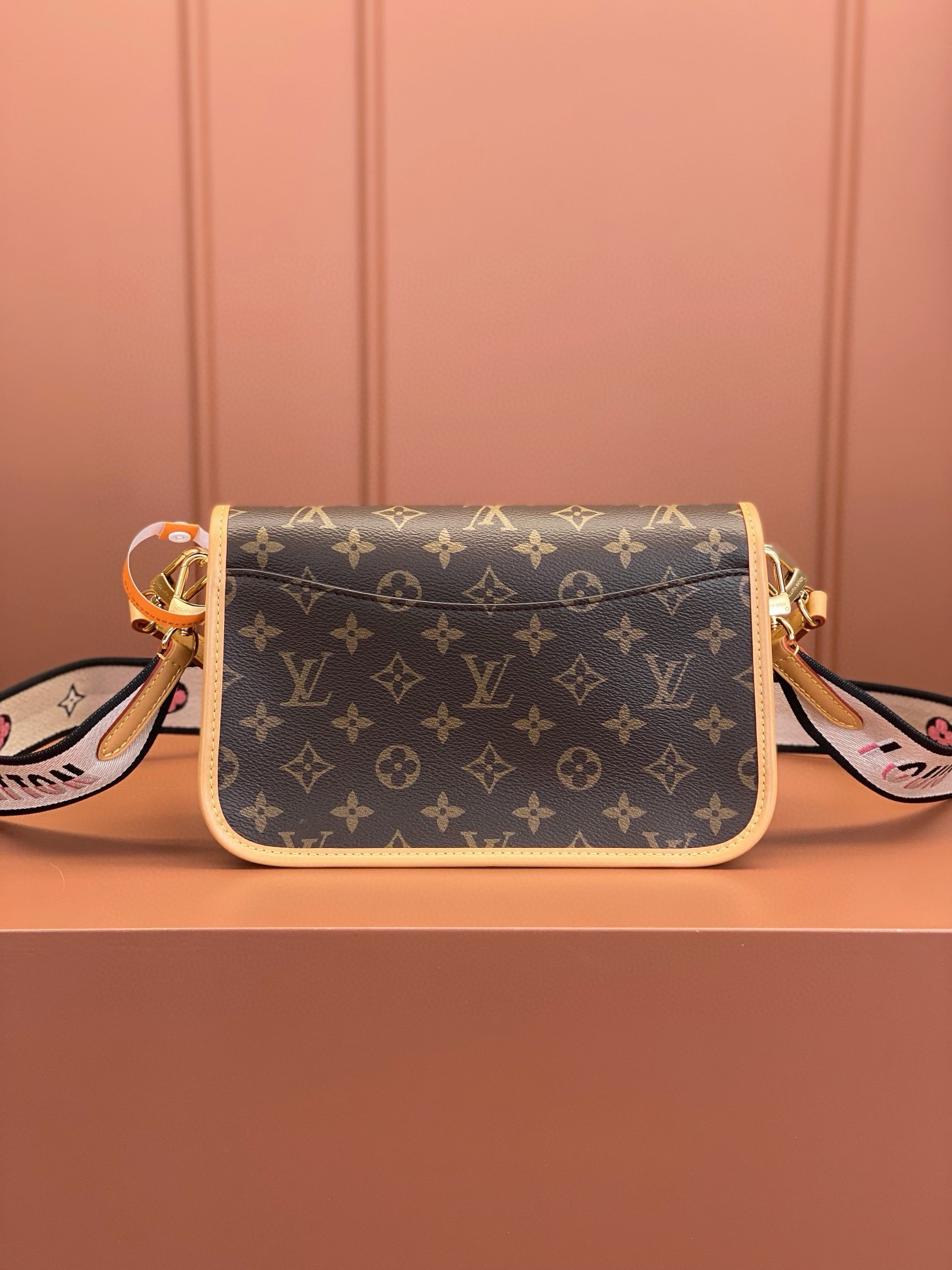 LV Bag