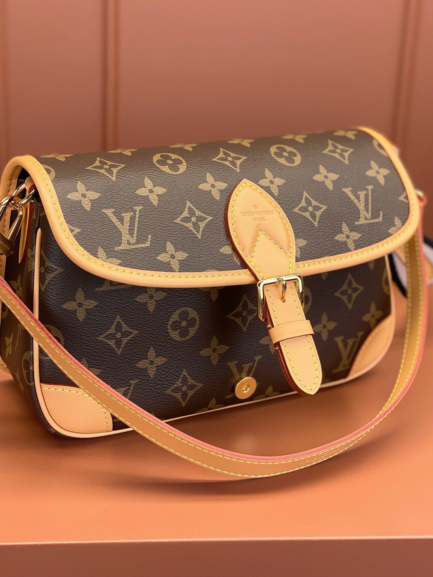 LV Bag