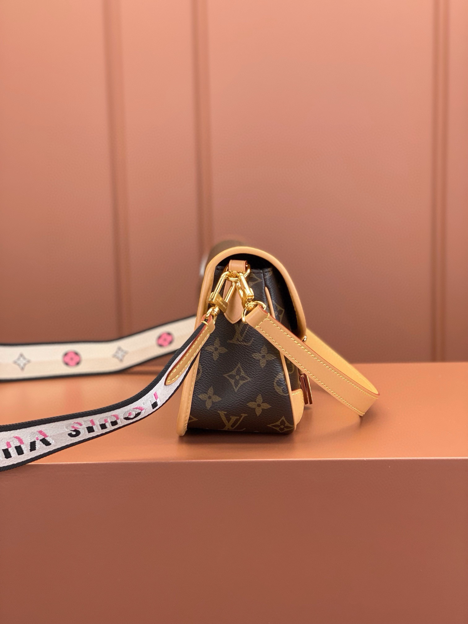 LV Bag