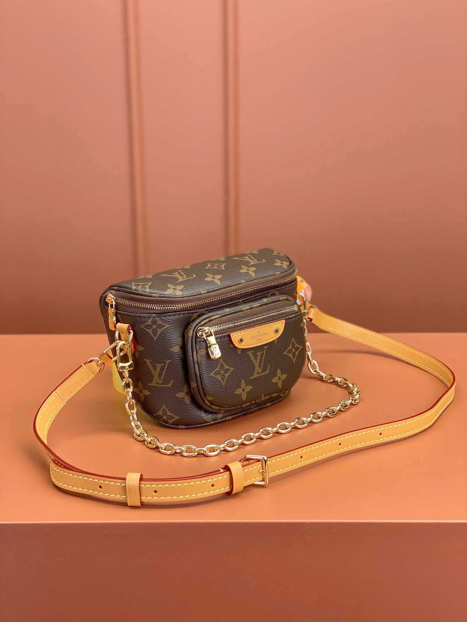 LV Bag
