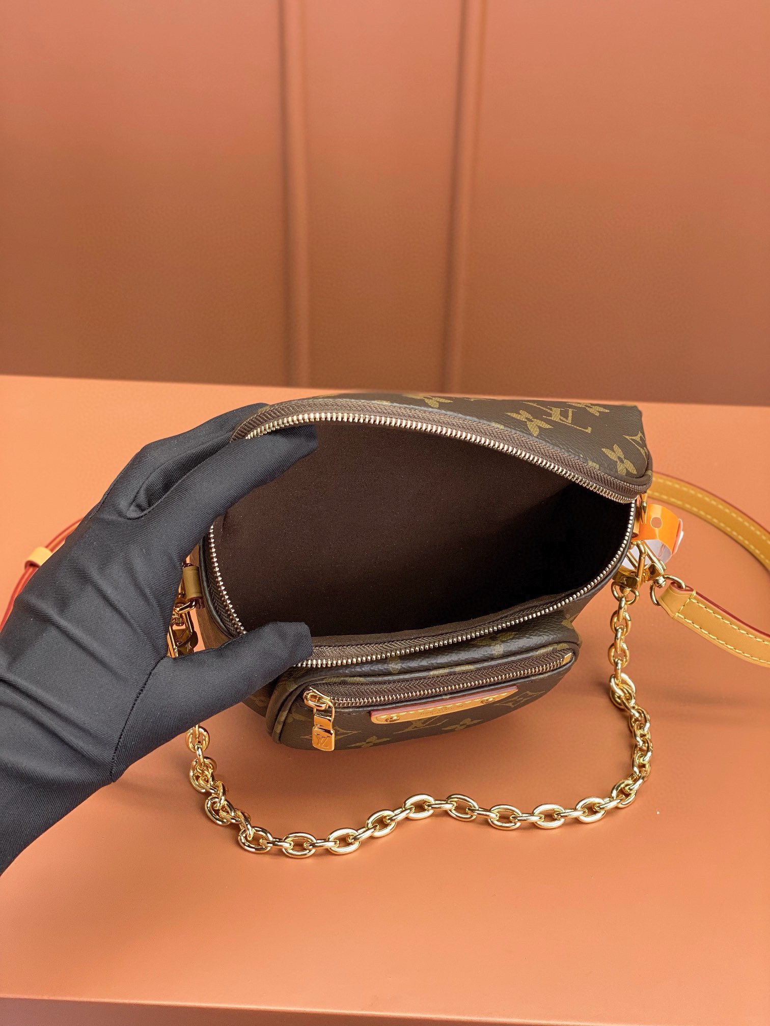 LV Bag