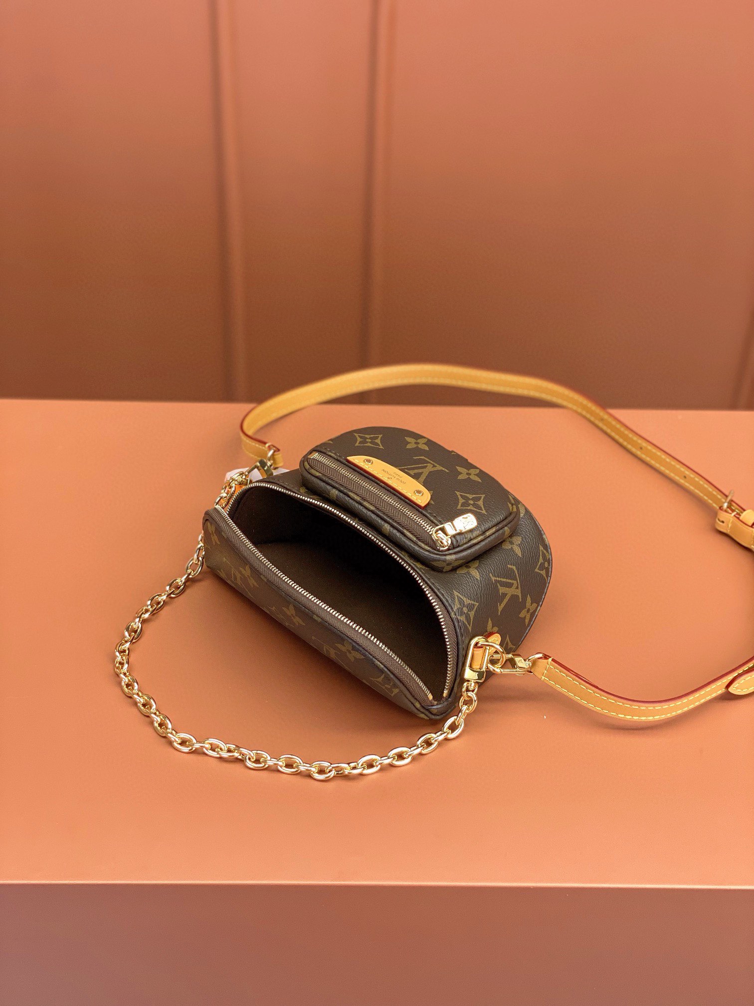 LV Bag