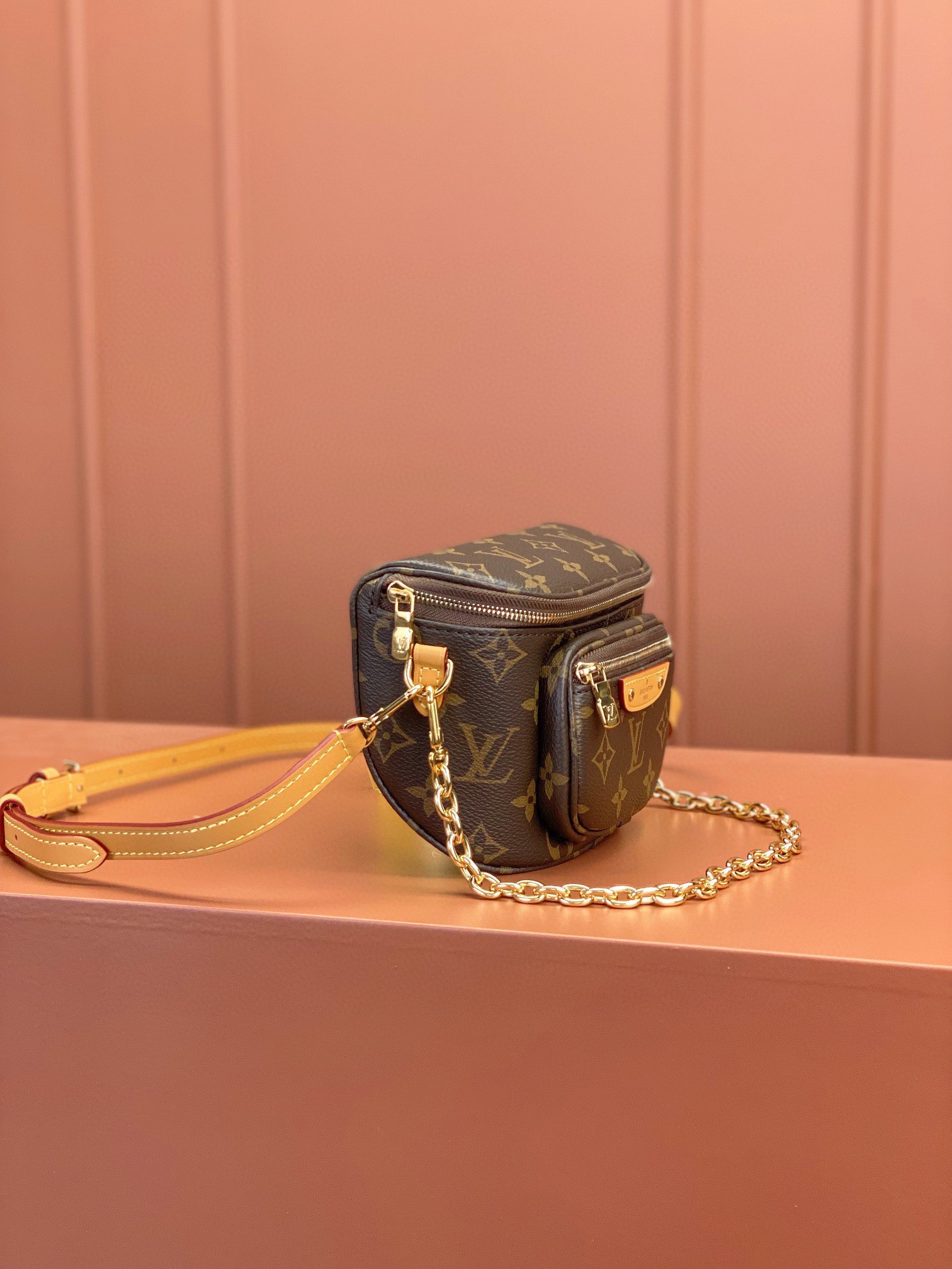 LV Bag