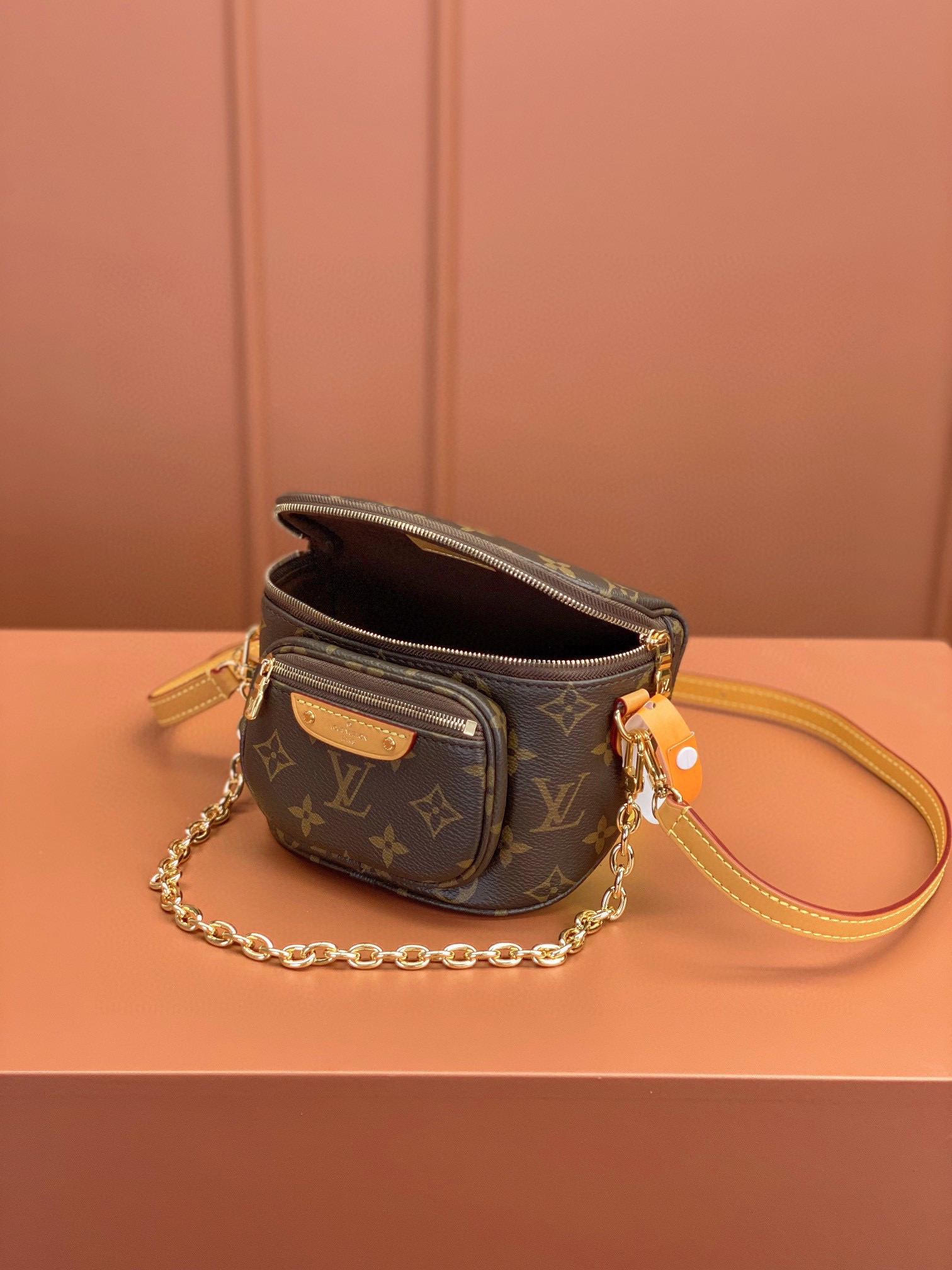 LV Bag