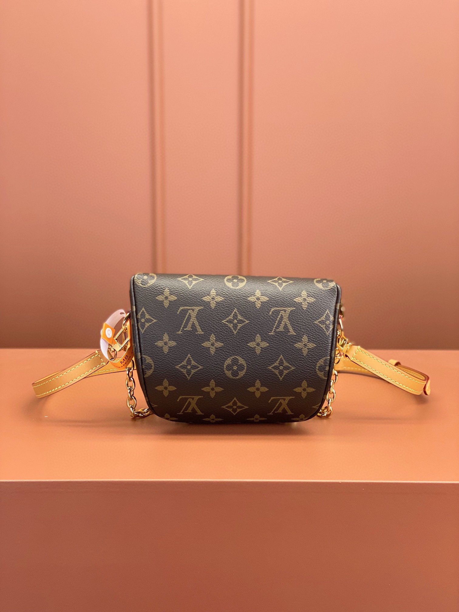 LV Bag