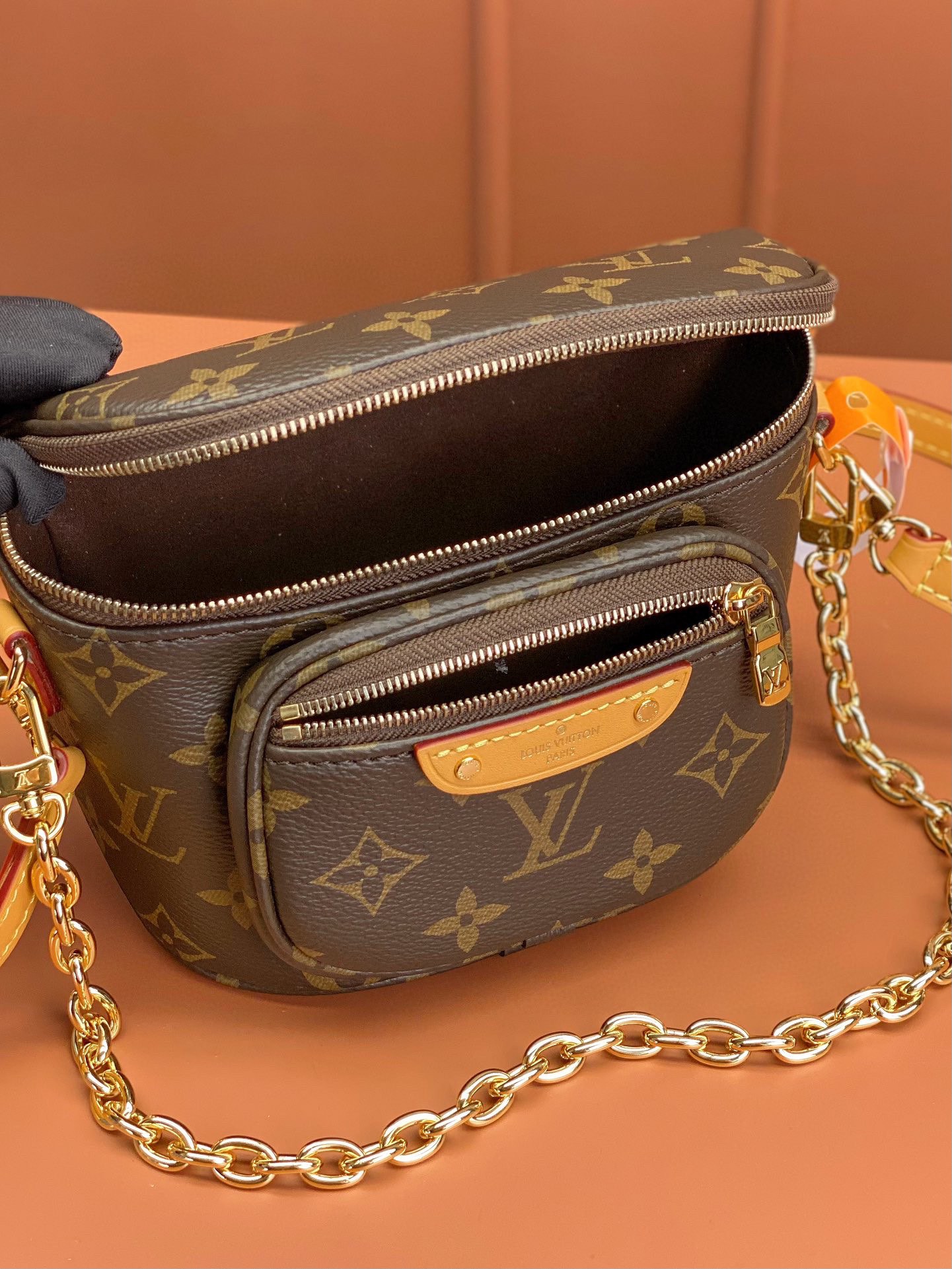 LV Bag