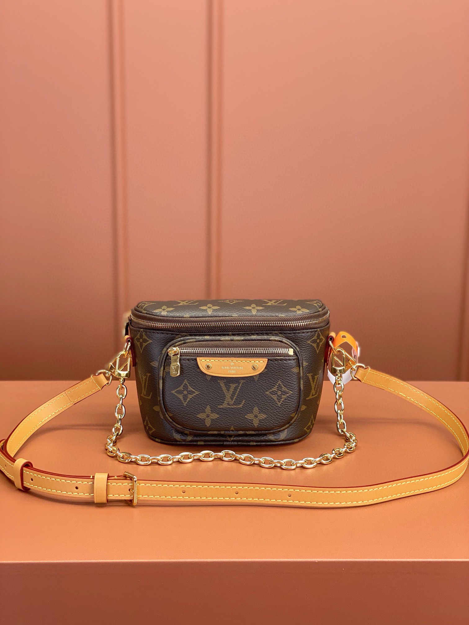 LV Bag